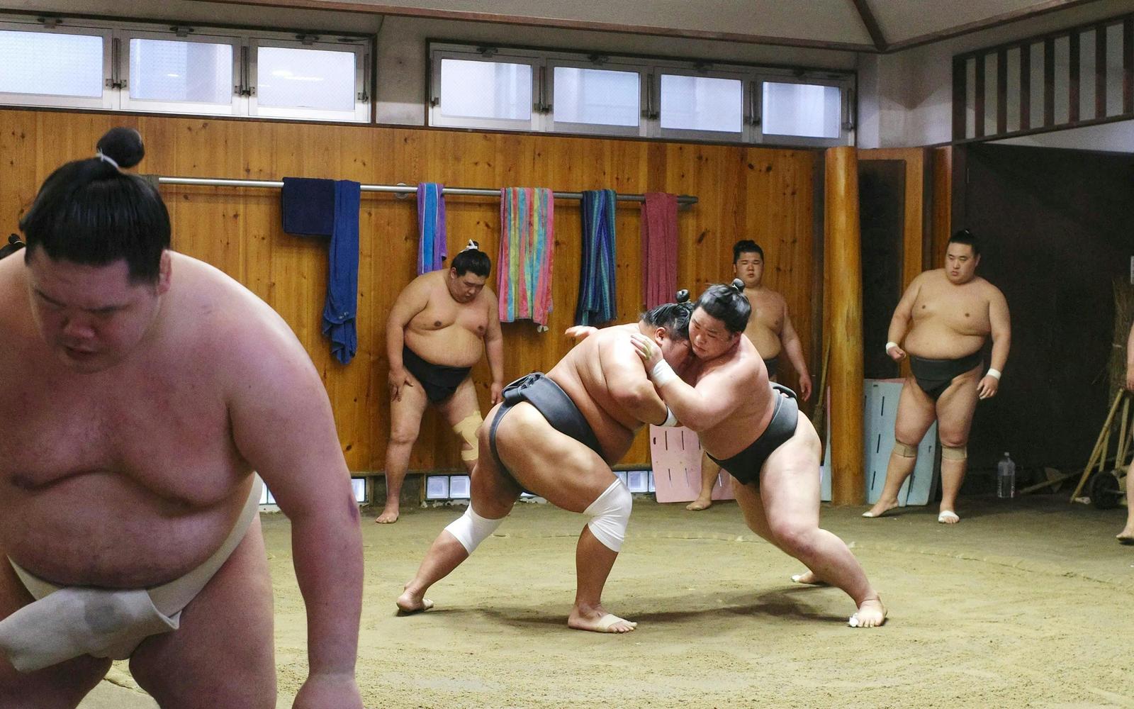 Premium Professional Sumo Morning Practice Experience in Asakusa tickets at 1-chōme-16-5 Hashiba, Tokyo