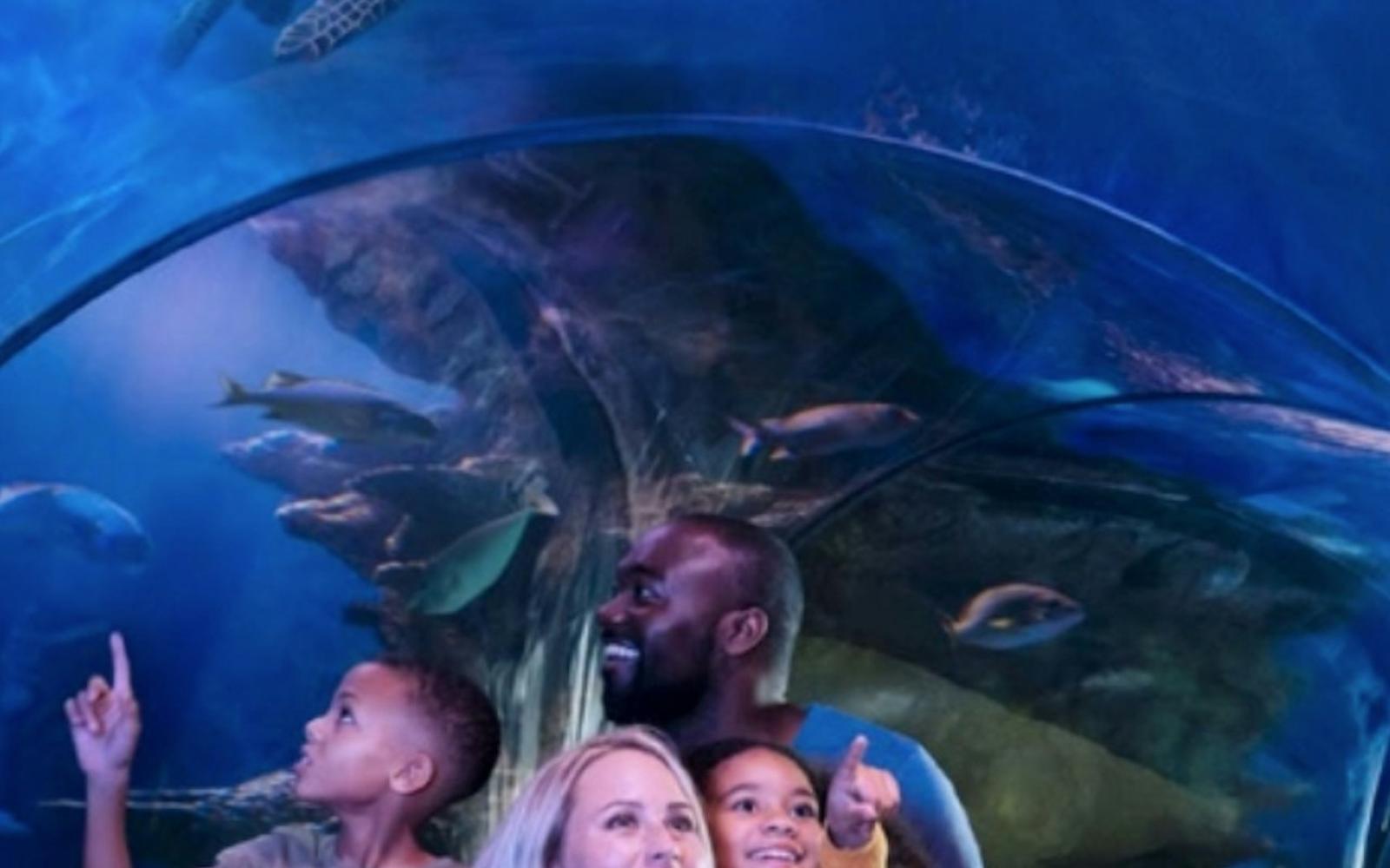 SEA LIFE Arizona: Entry Ticket