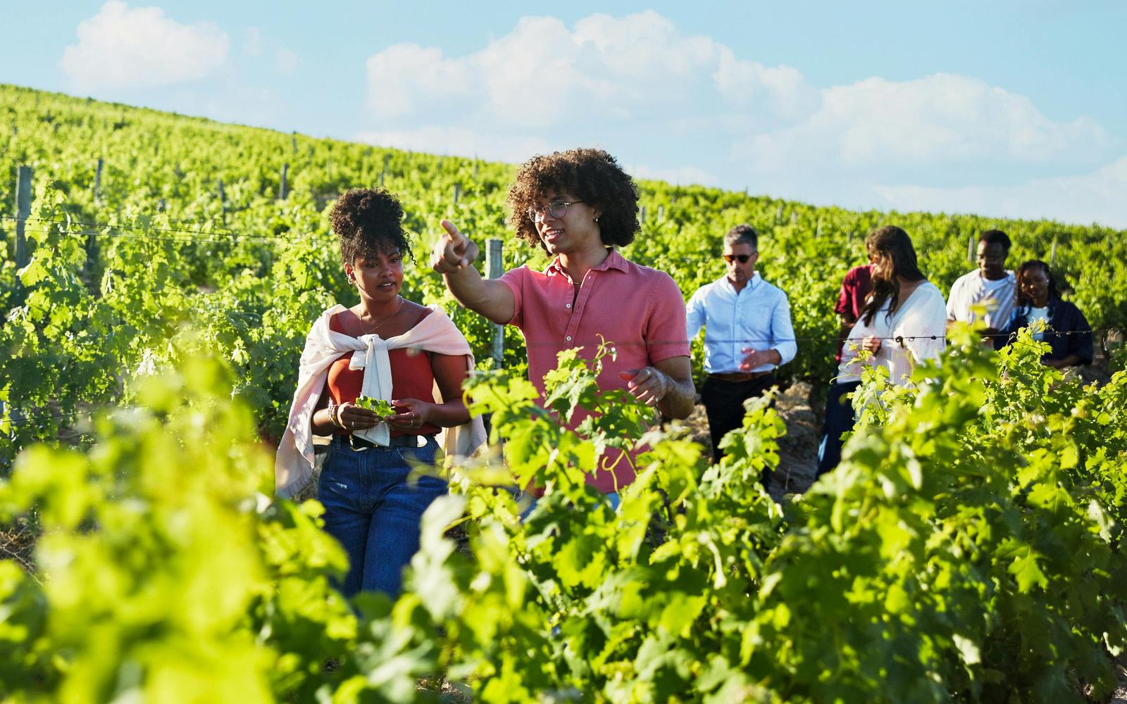 From Naples: Vesuvius Wine Tasting Experience With Mediterranean Lunch tickets at Metropolitan City of Naples, Pompeii Naples