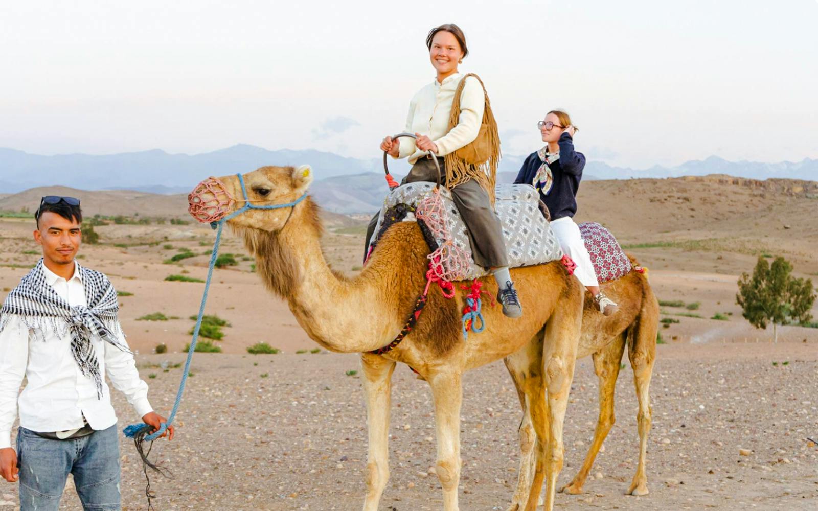Sunset Desert Tour with Camel Ride, Dinner Show & Transfers