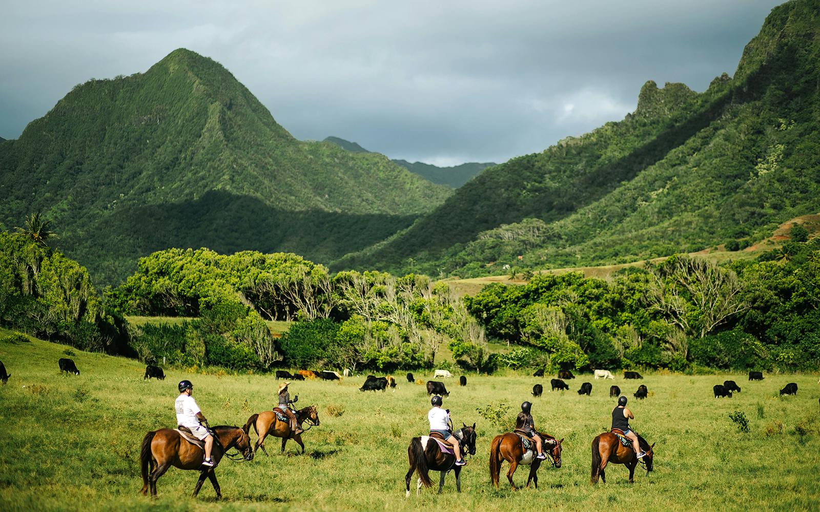 Kualoa Ranch: Horseback Walking Tour