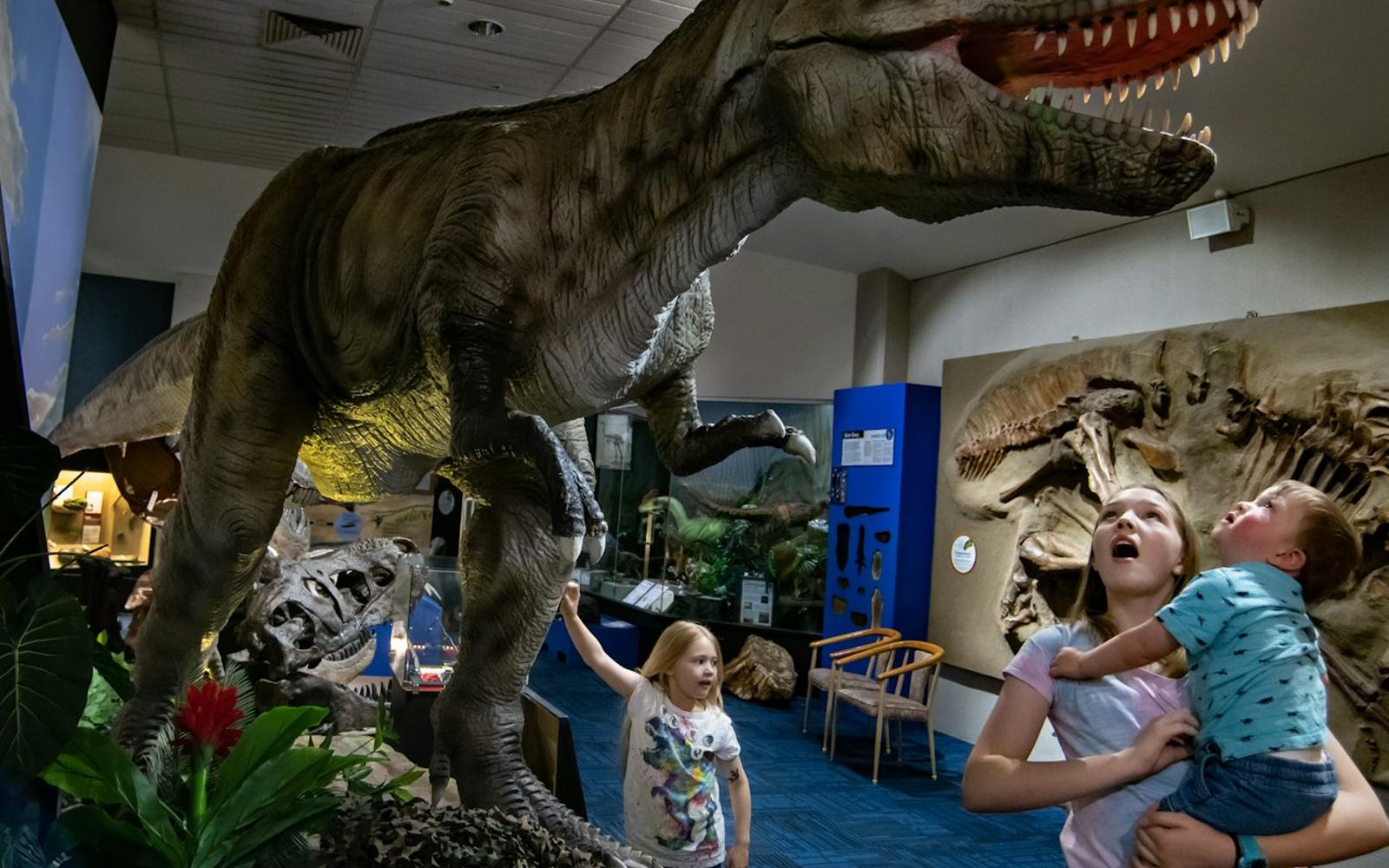 National Dinosaur Museum: Skip The Line Ticket