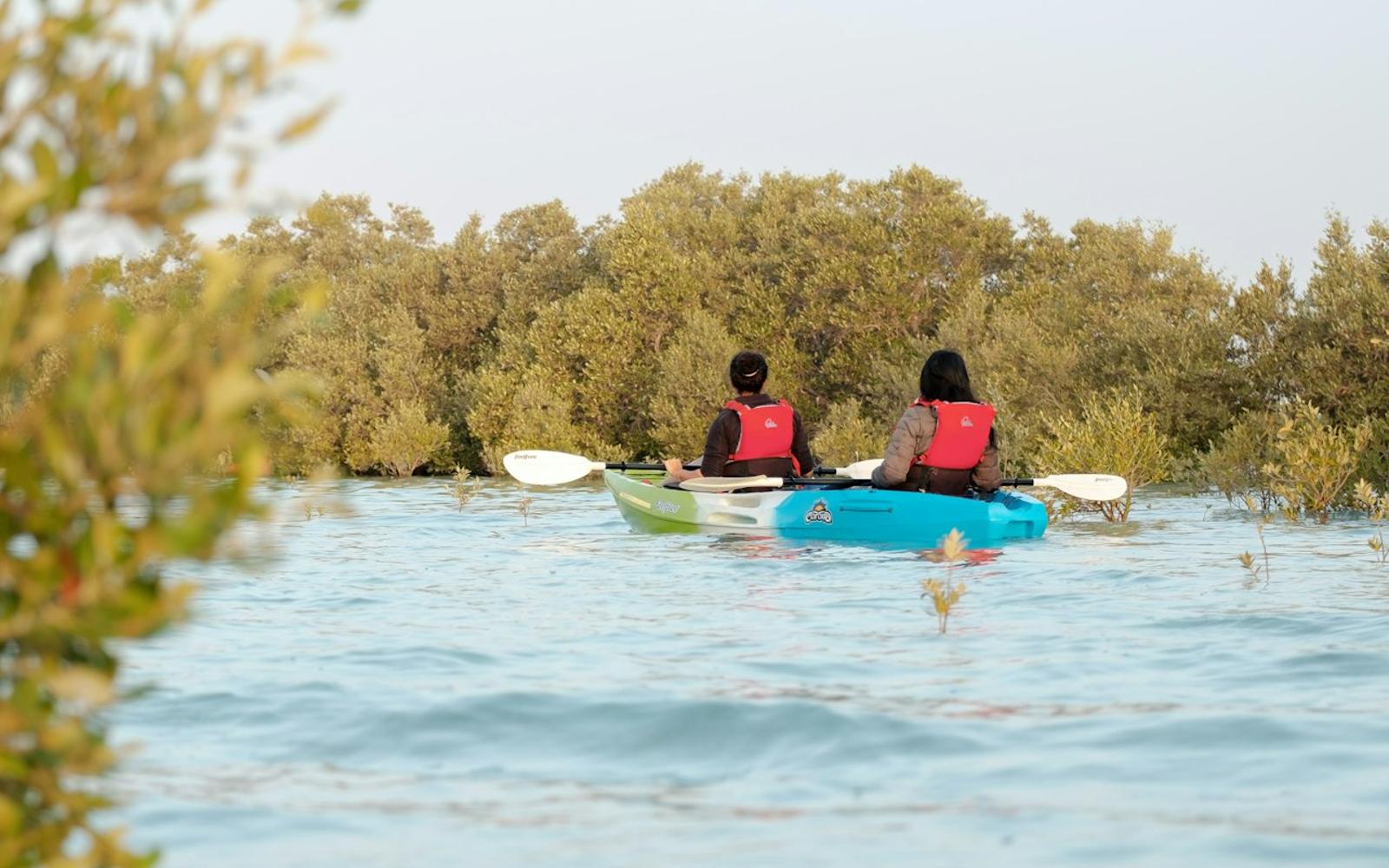 Guided Kayak Tour in the Mangroves tickets at Abu Dhabi Water Sports, Abu Dhabi