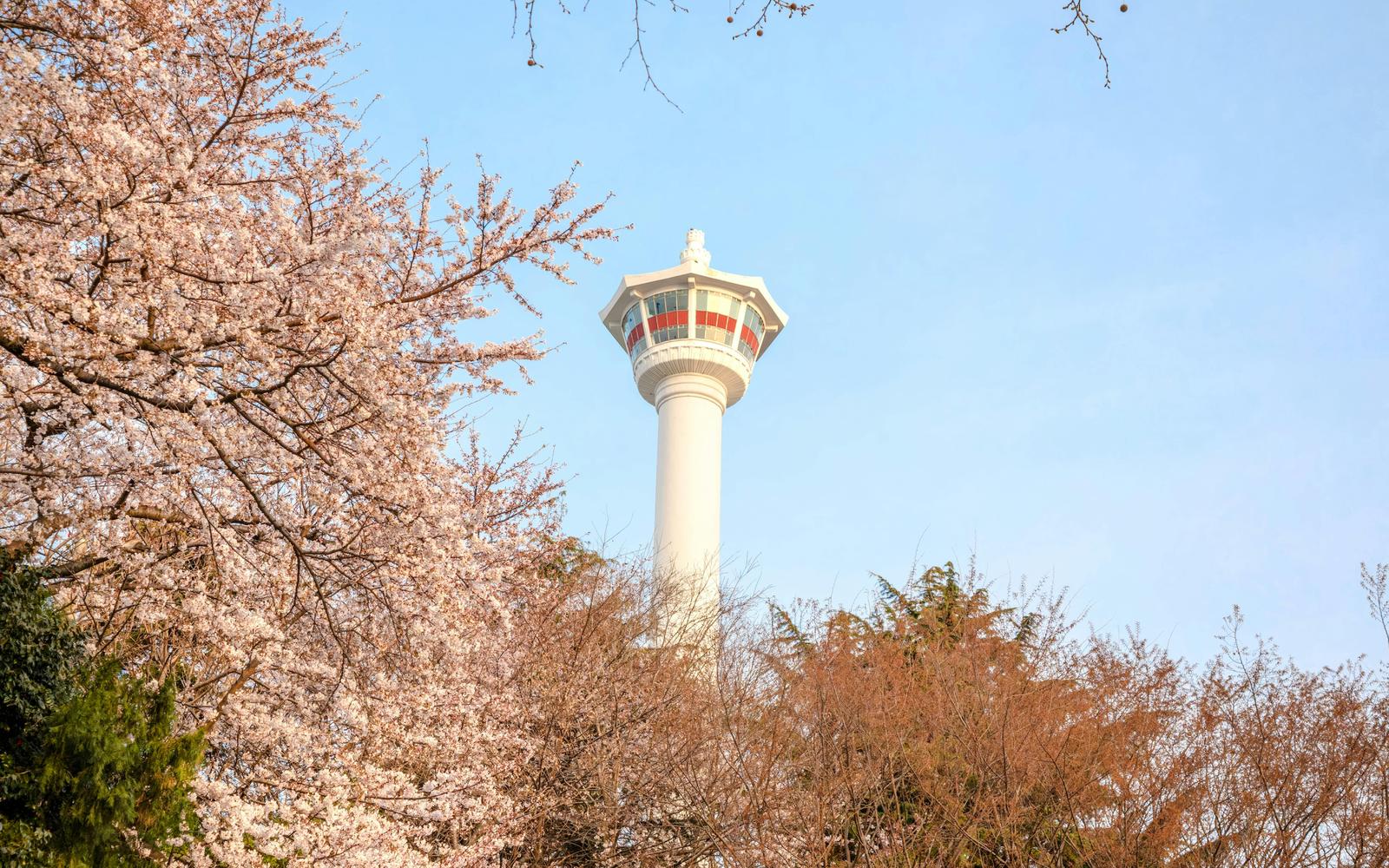 Busan Tower Observatory Entry Tickets
