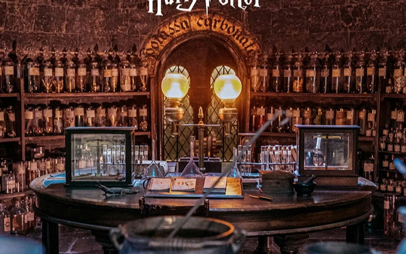 Harry Potter Warner Bros. Studio London: Entry + Train Transfer