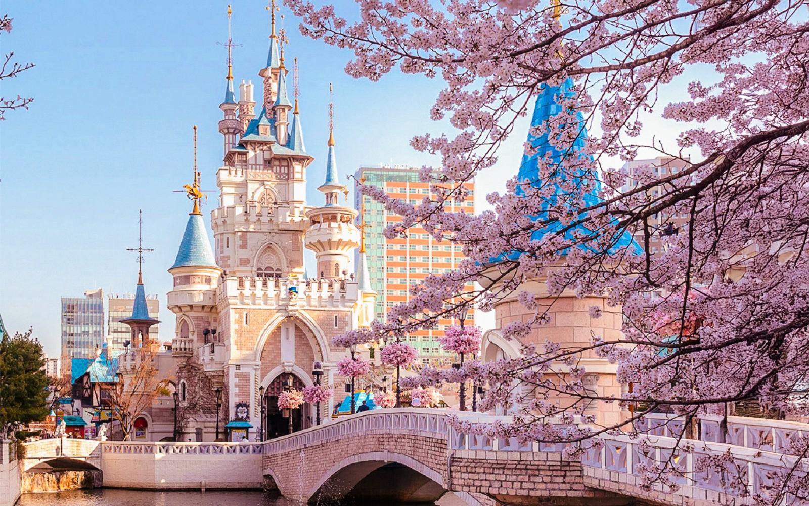 Discover Seoul Pass: 70+ Attractions