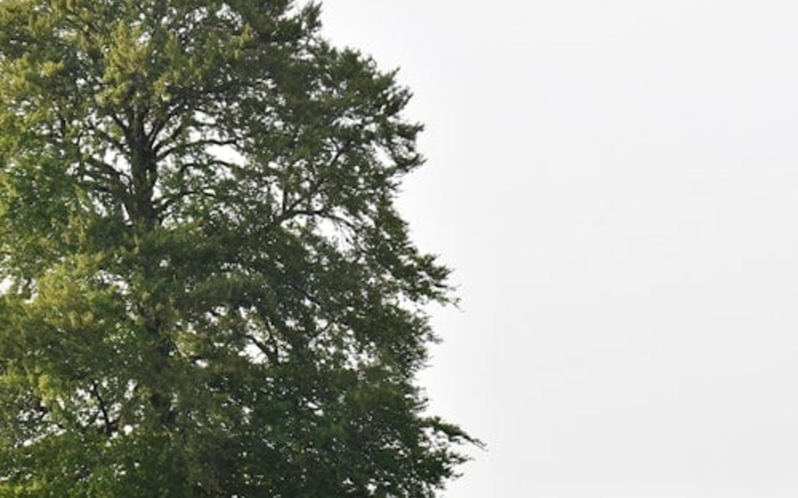 De Hoge Veluwe National Park