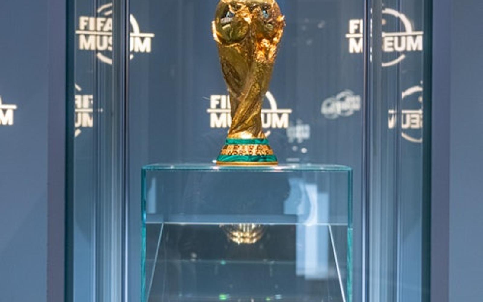 FIFA 박물관: 입장권