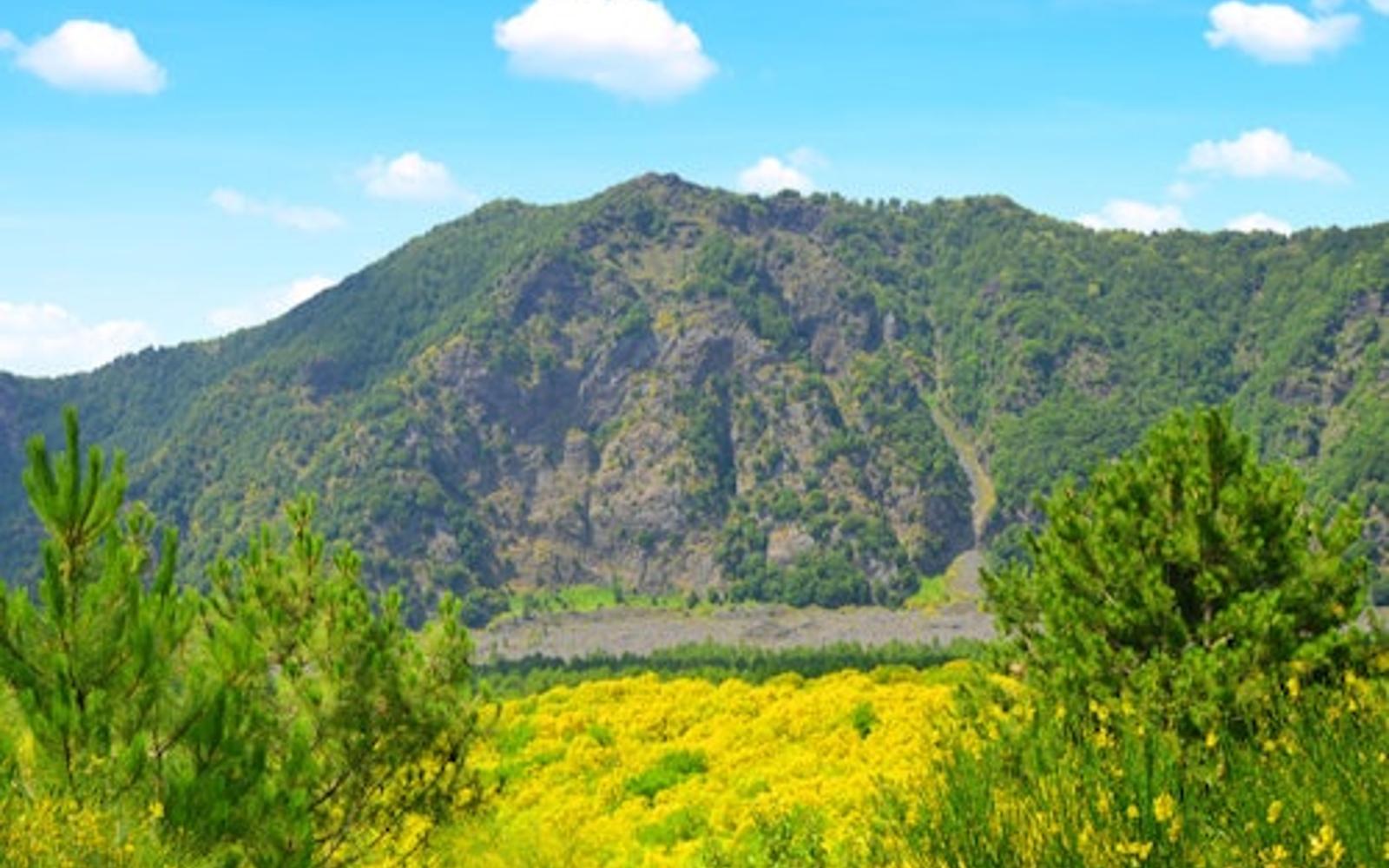 Vesuvius & Pompeii: Skip The Line Tickets + Roundtrip from Salerno