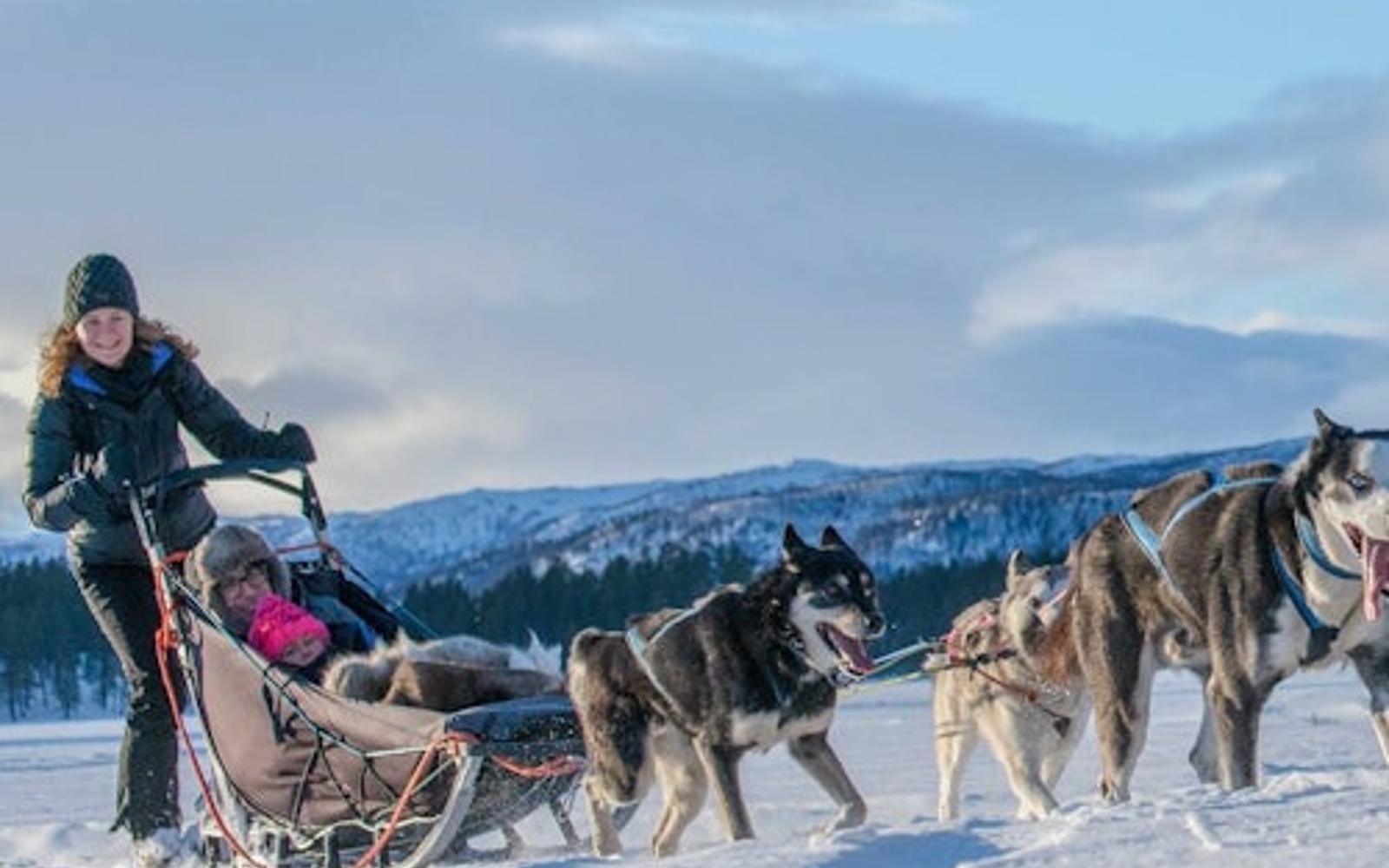 Snowmobile & Animals Day Tour tickets, Rovaniemi