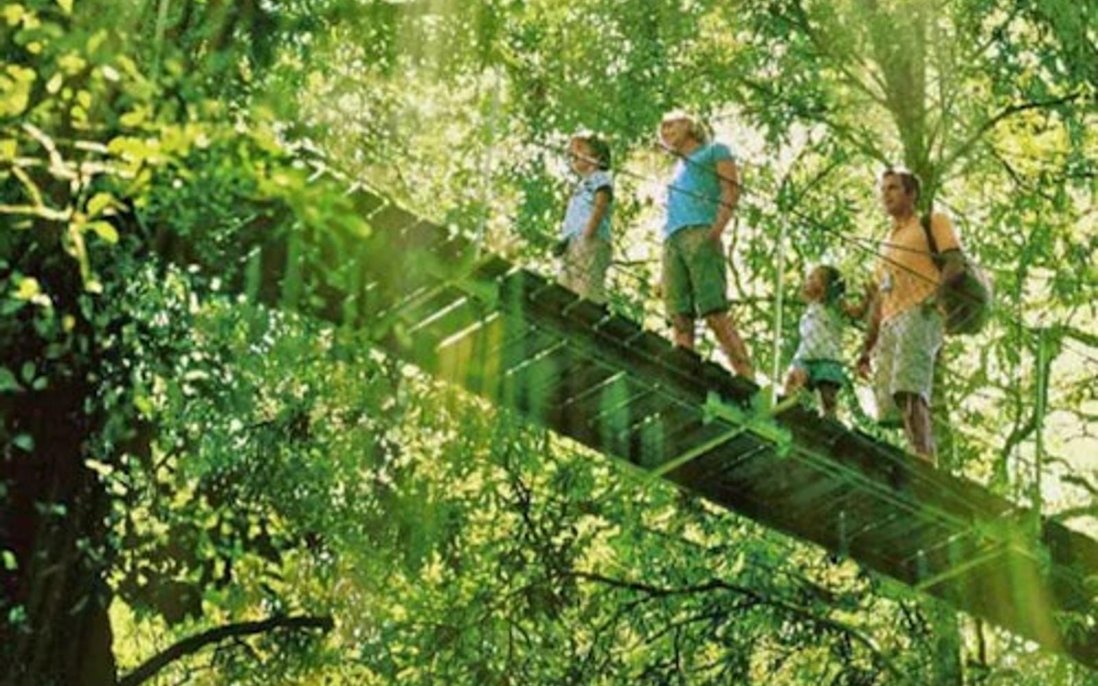 سفر یک روزه به پارک ملی لامینگتون، او'رایلی و تاکستان: از گلد کوست tickets at Day Trips from Gold Coast, Natural Bridge