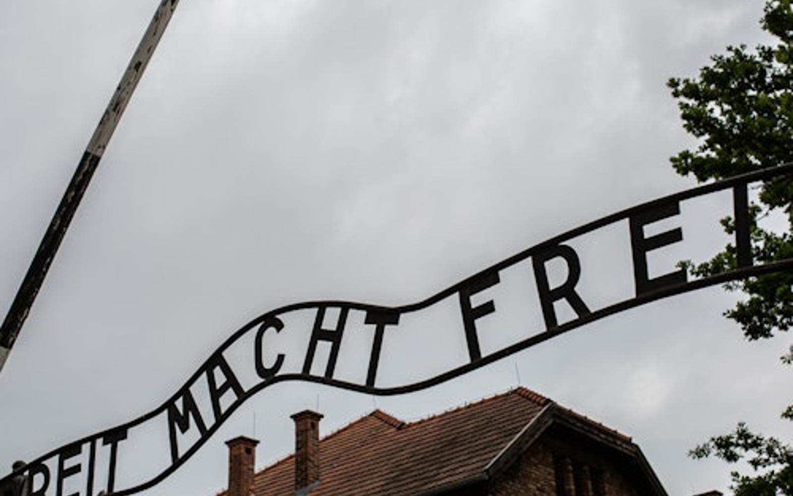 Auschwitz-Birkenau: Guided Tour + Private Transfer