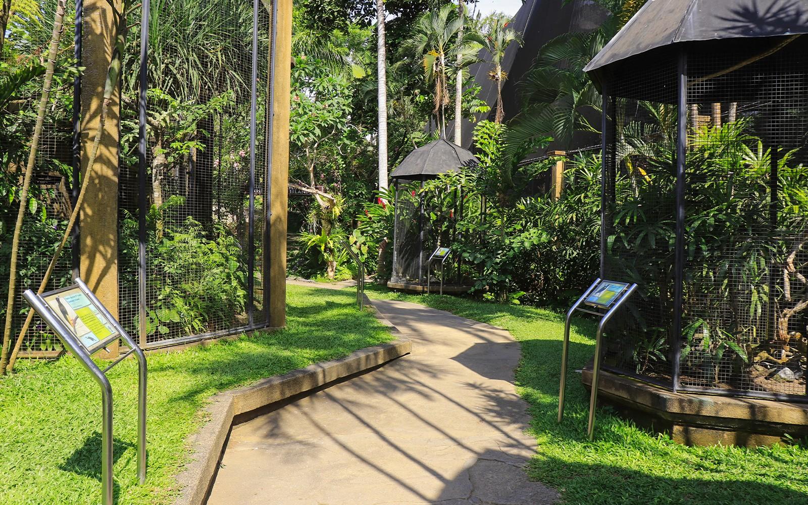 Bali Bird Park Tickets + Optional Lunch with Bird Stars
