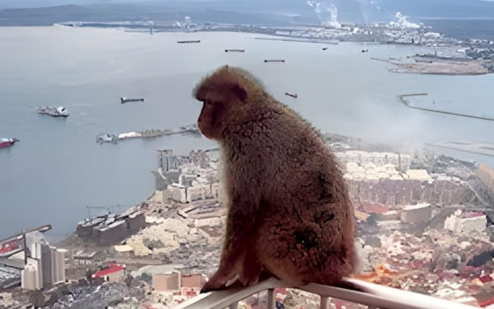 Gibraltar: Sightseeing Tour from Seville