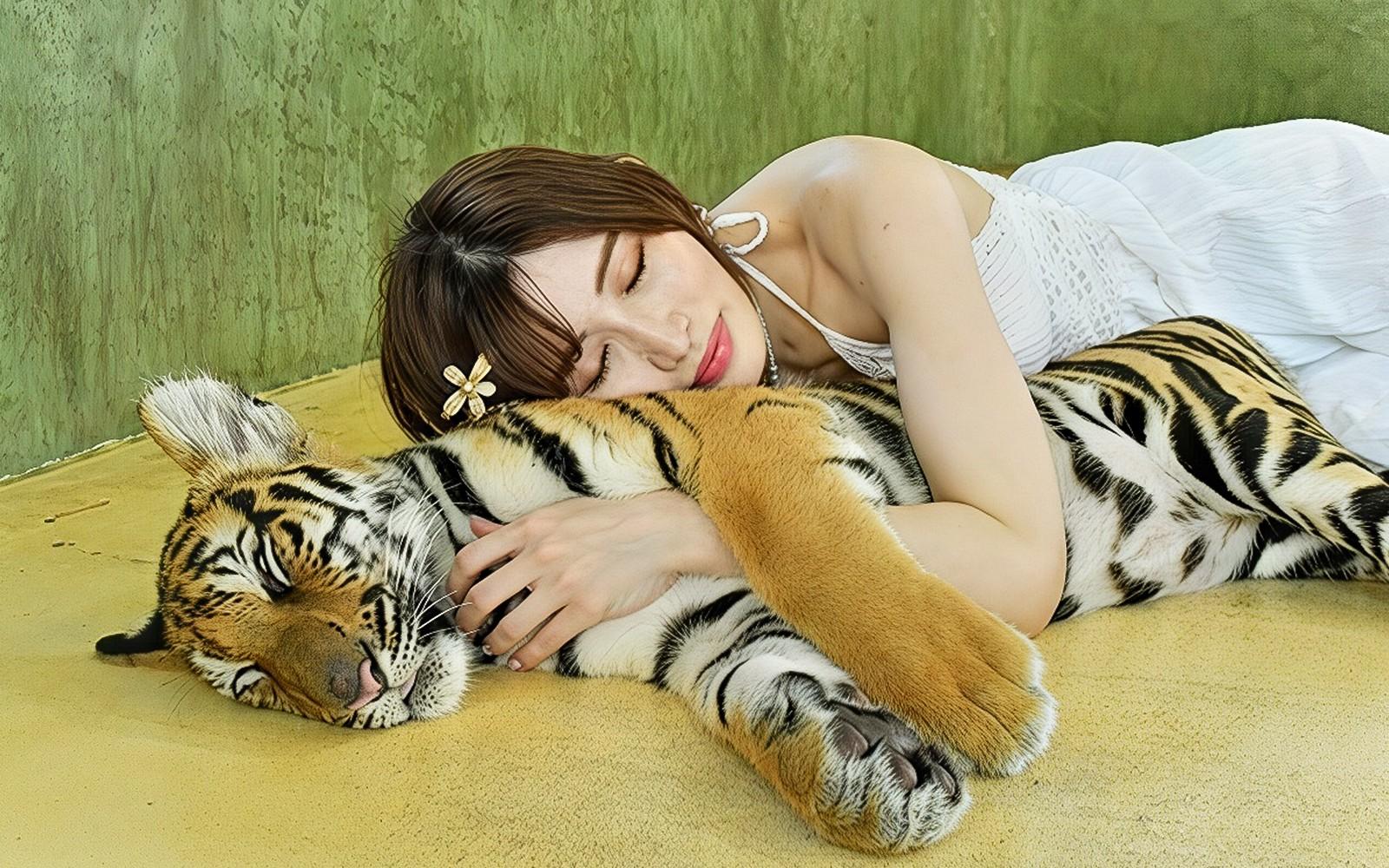 Tiger Kingdom Tickets with Private Transfers & Tiger Interaction 