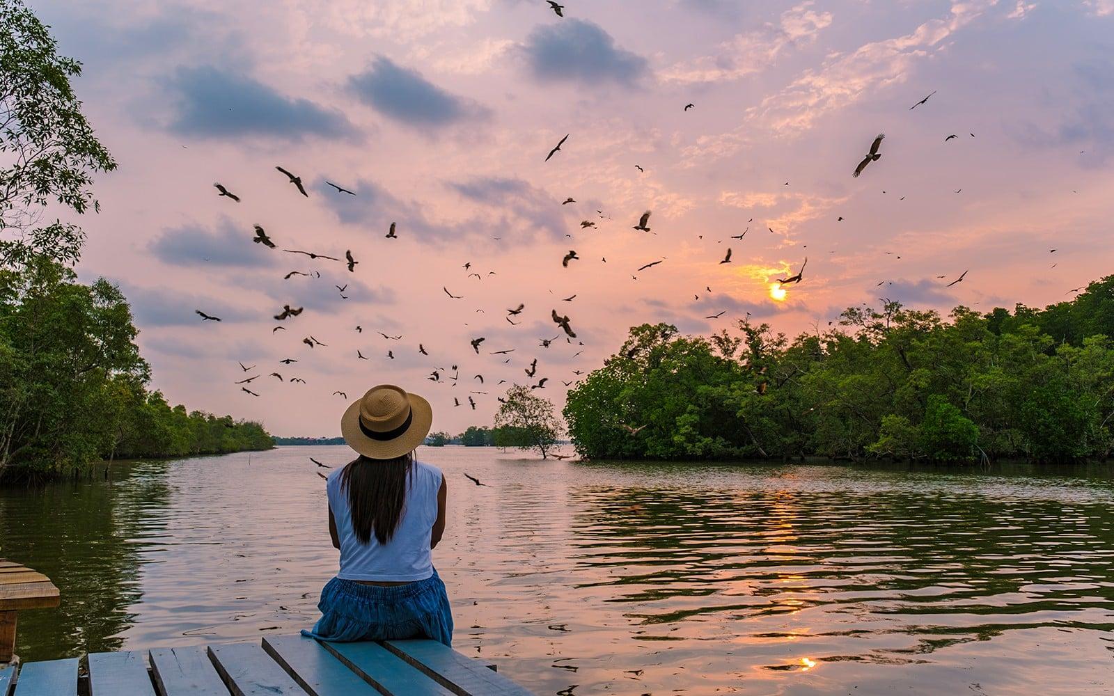 تور کایاک در میانگرو لنگکاوی