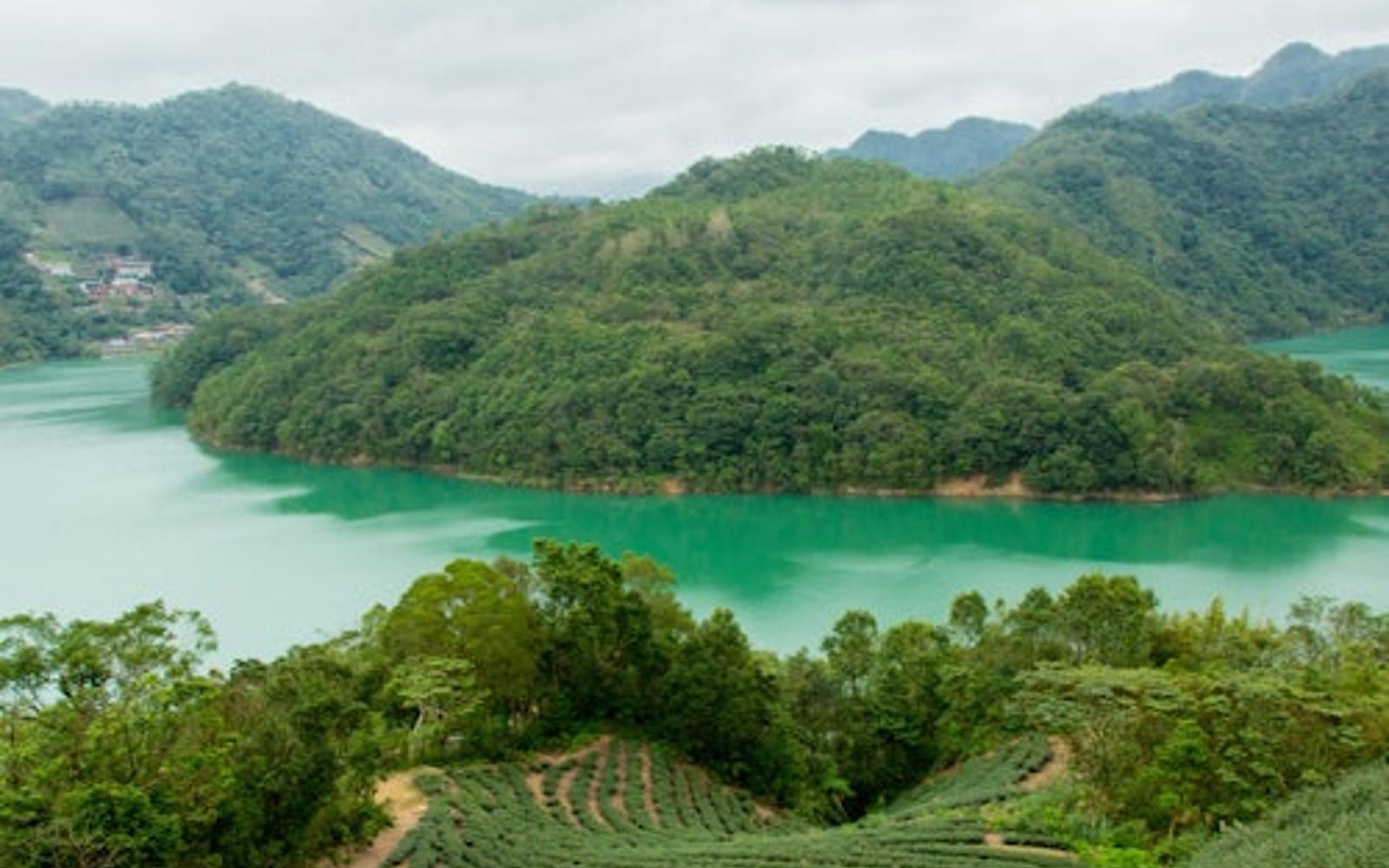 Thousand Island Lake & Pinglin Tea Plantation: Afternoon Tour from Taipei tickets, Taipei