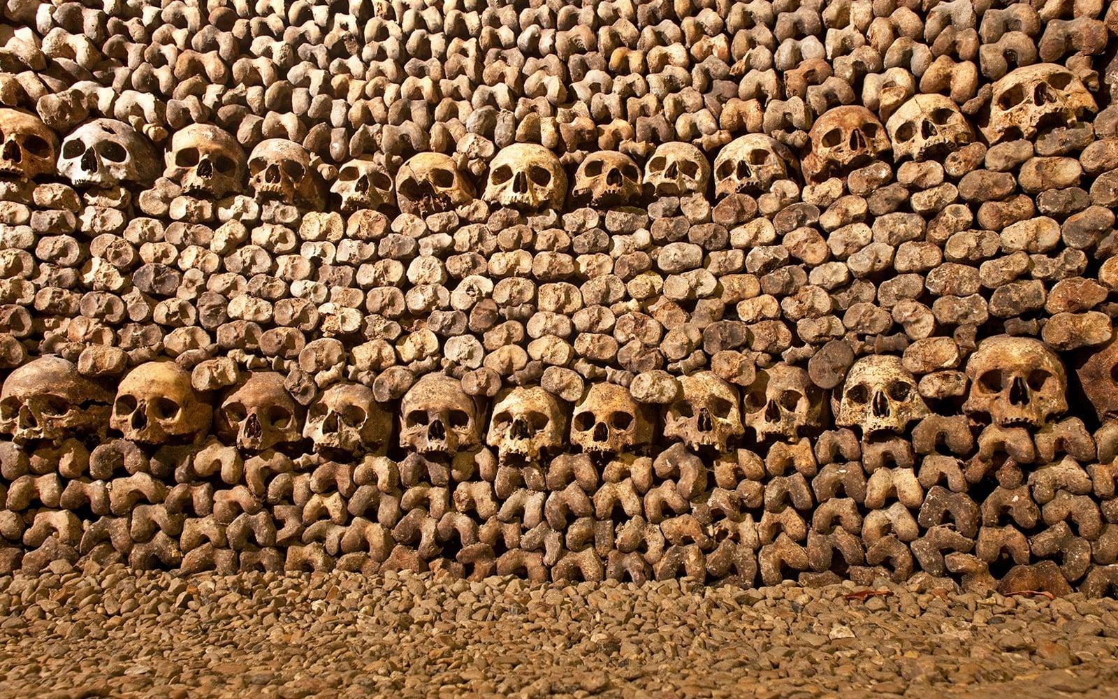 Combinat: Entrades dels Catacombs + Creuer pel riu Sena
