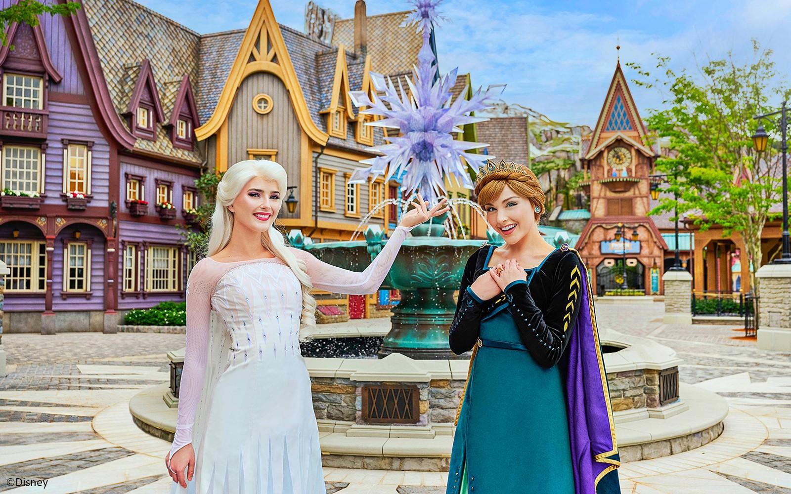 Accés Premier de Disney (Entrada no inclosa)