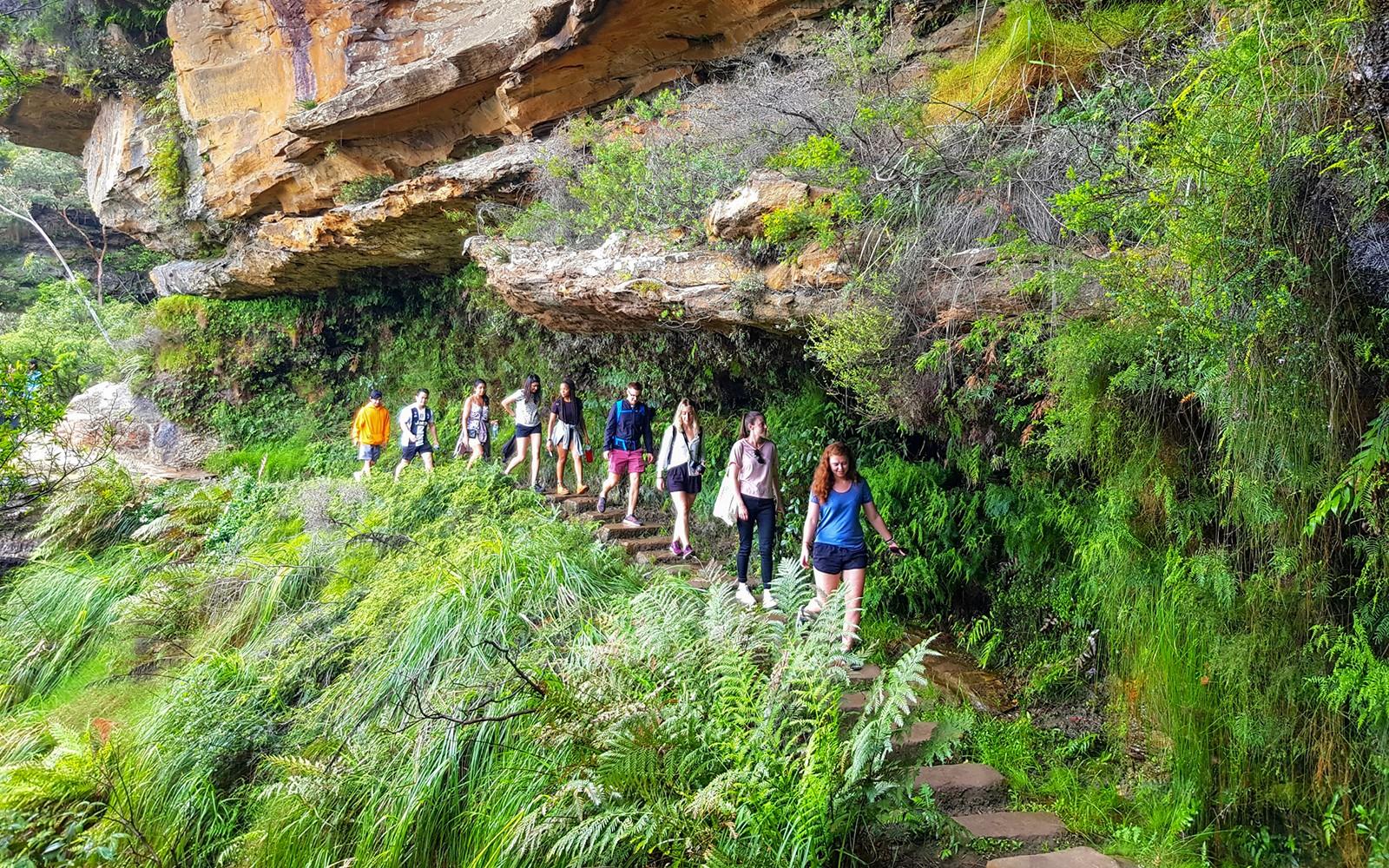 Blue Mountains Off the Beaten Path Guided Bushwalks, Secret Lookouts & BBQ Lunch tickets, Sydney