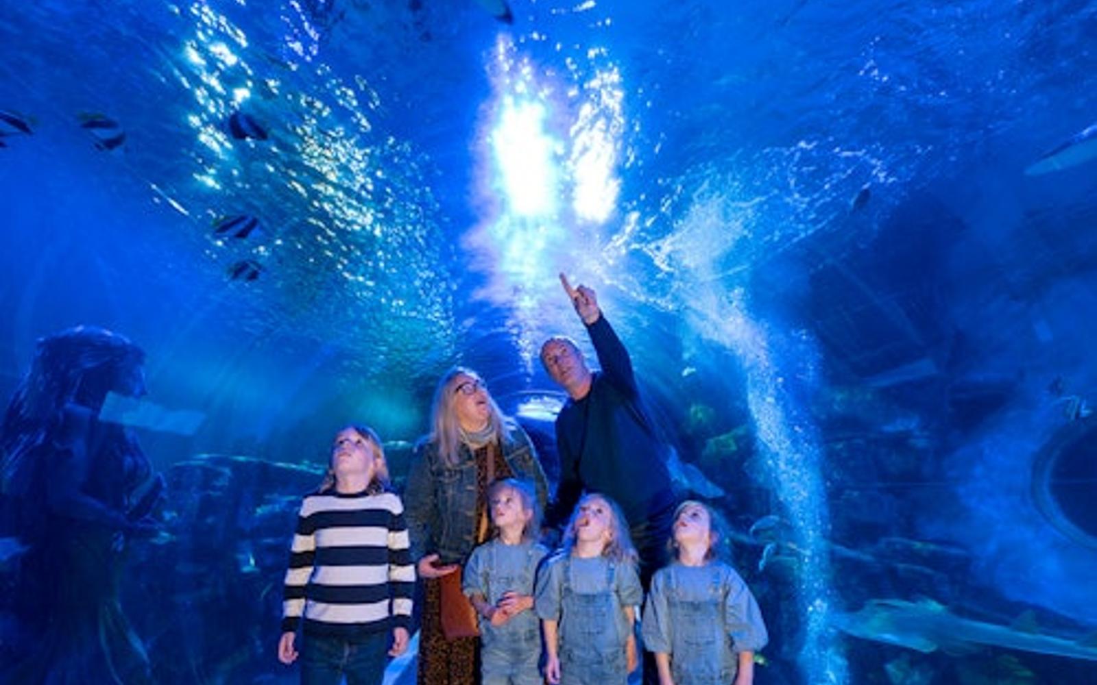 SEA LIFE Birmingham: Entry Ticket