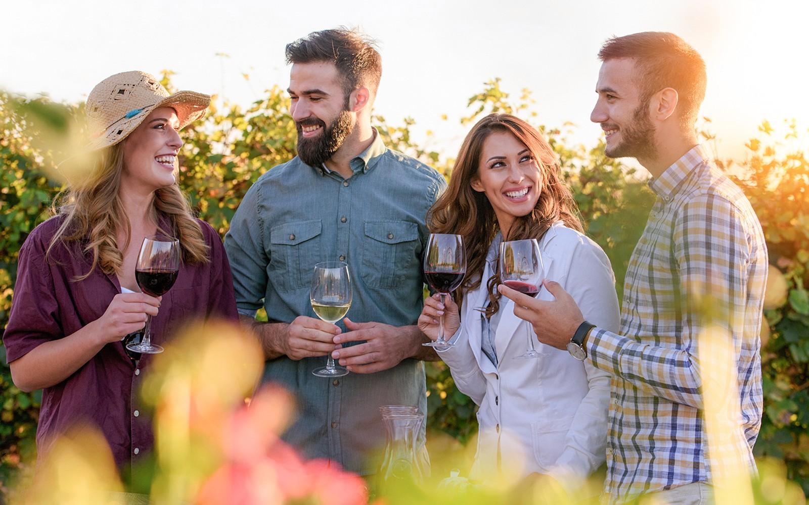 Esperienza di degustazione vini guidata e cena nel Chianti