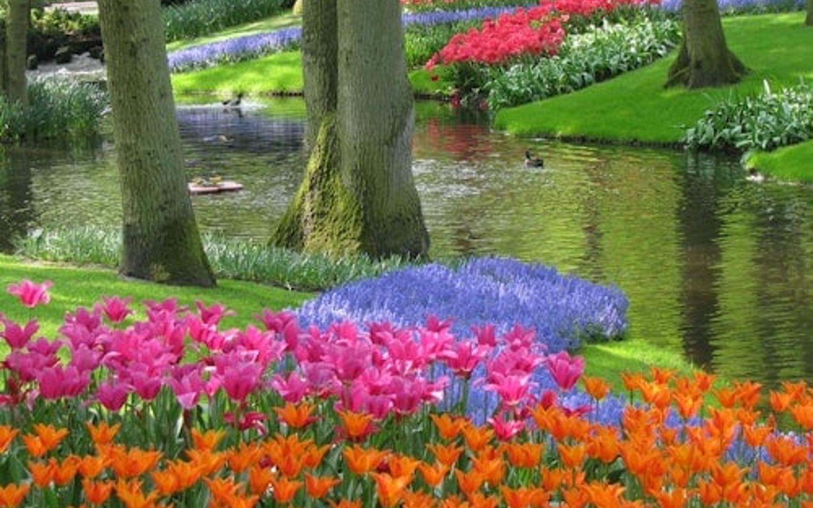 Keukenhof: Biglietto d'ingresso tickets at Keukenhof, Lisse