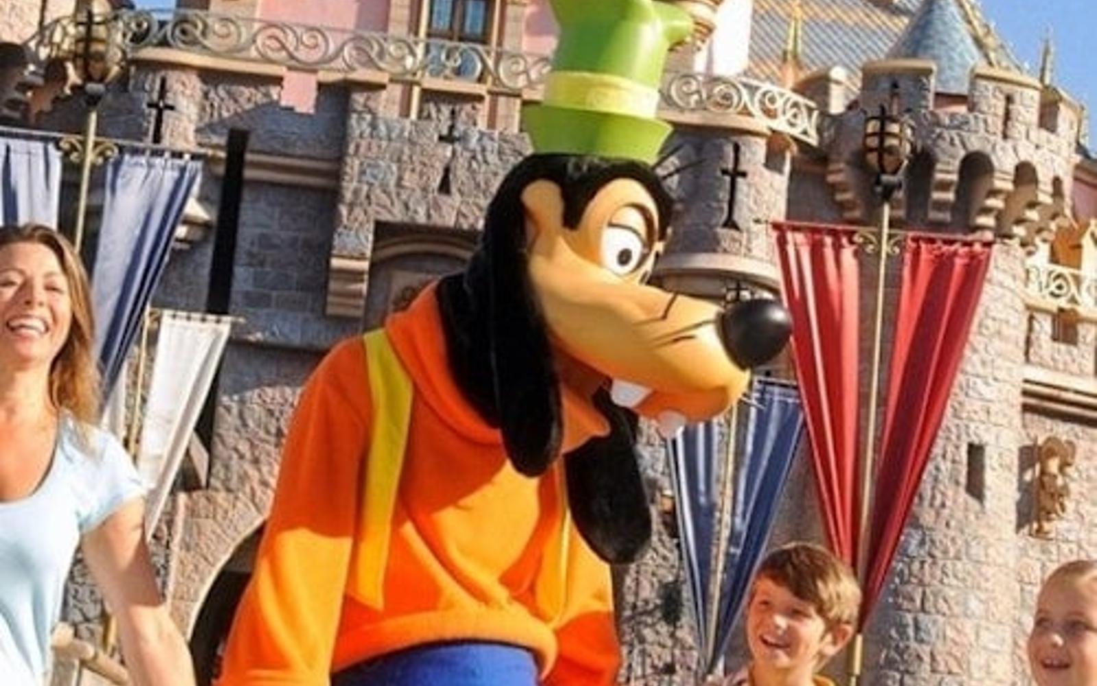 Disneyland® California: 1-Day Park Hopper Ticket with Transport from Los Angeles