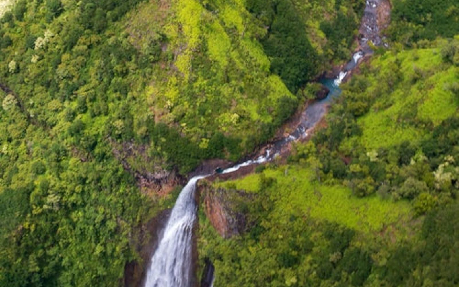 Waimea Canyon State Park & Koke’e State Park: Guided Tour + Transfer tickets, Hawaii
