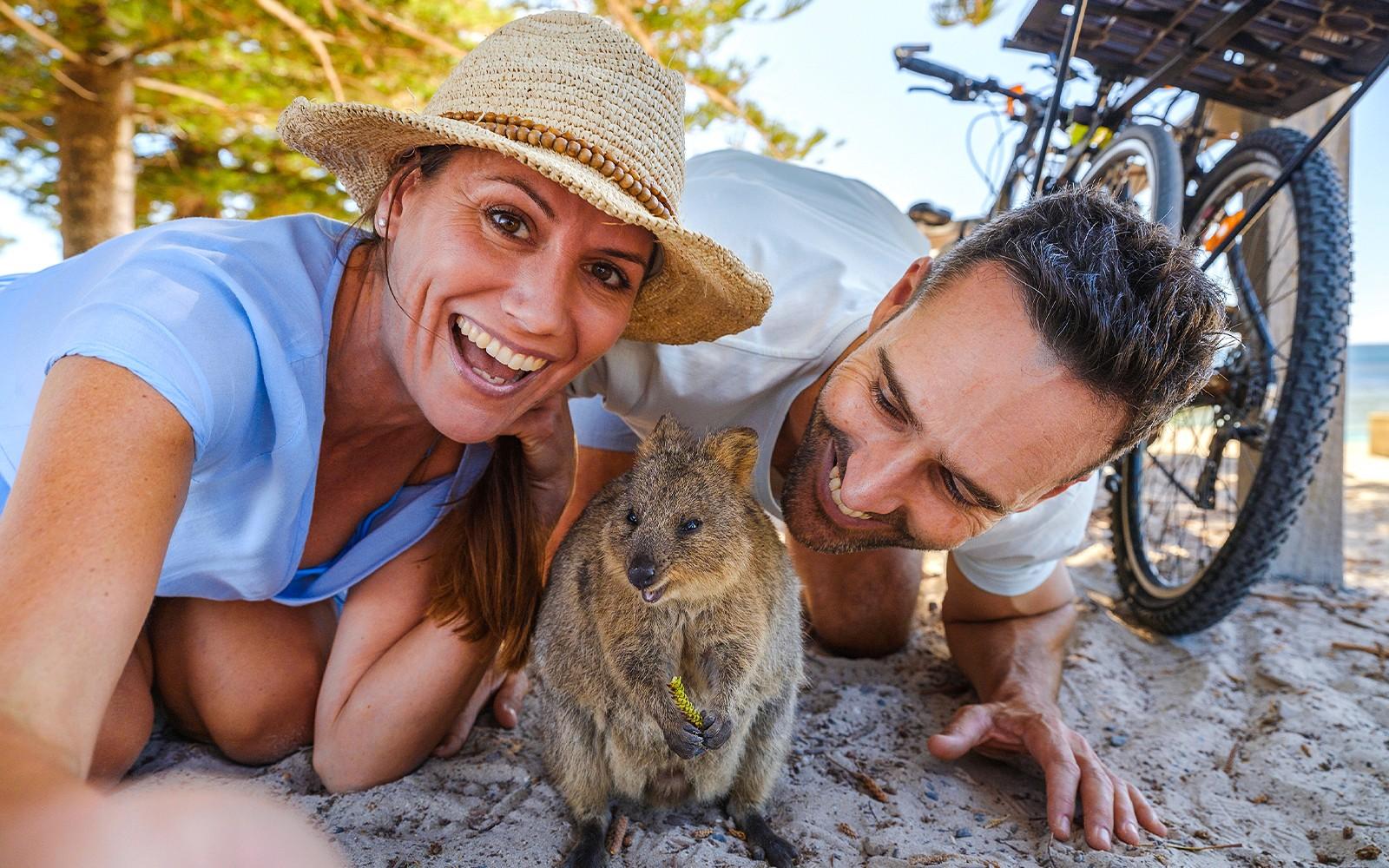 Des de Hillarys: Ferri de tornada a l'illa de Rottnest