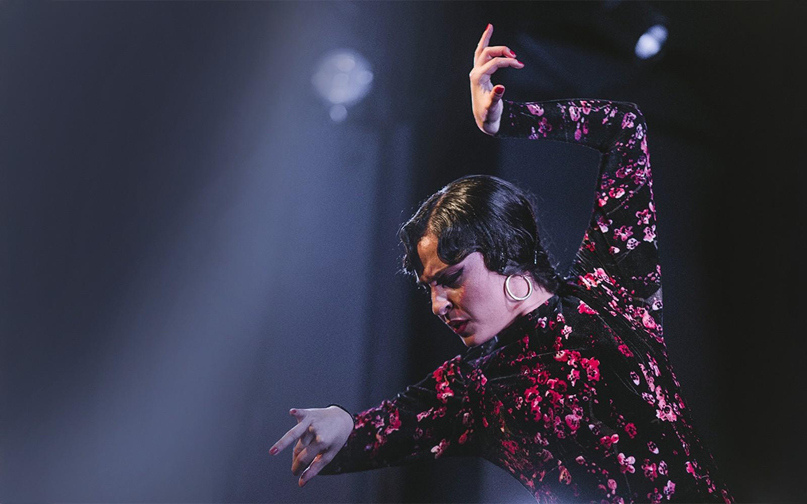 نمایش فلامنکو در کاسا آنا tickets at Tablao Flamenco Casa Ana Granada, گرانادا