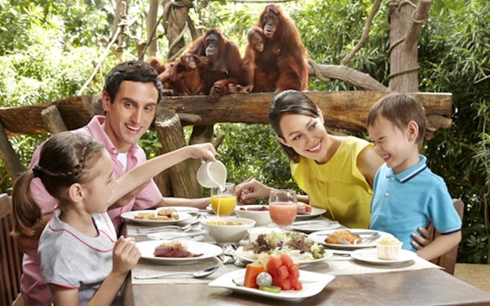 Singapore Zoo: Entry Ticket + Hotel Pickup