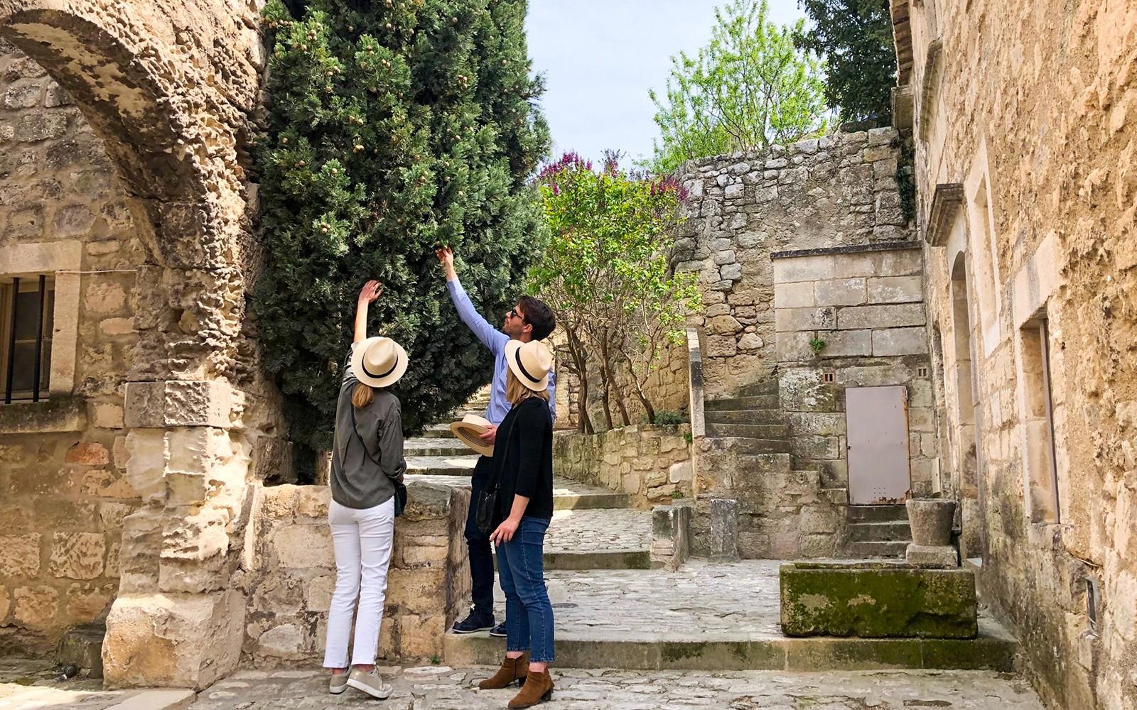 From Aix-en-Provence: Provence Full-Day Tour