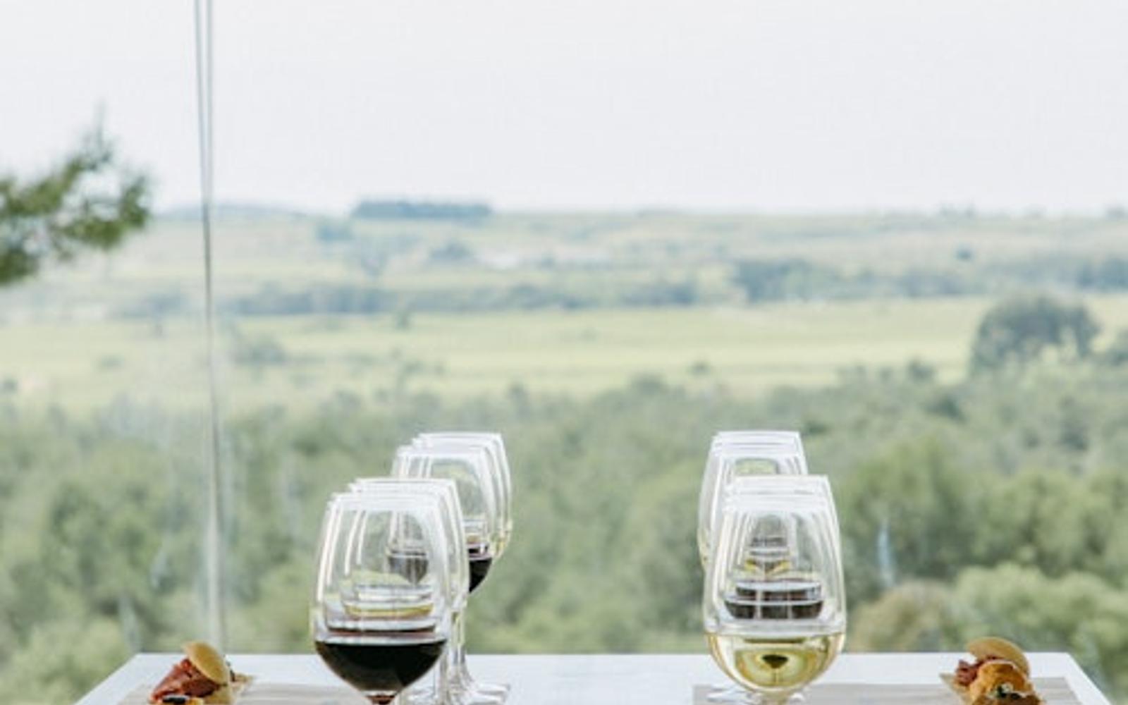 Jean Leon Winery: Guided Tour + Wine & Tapas Pairing