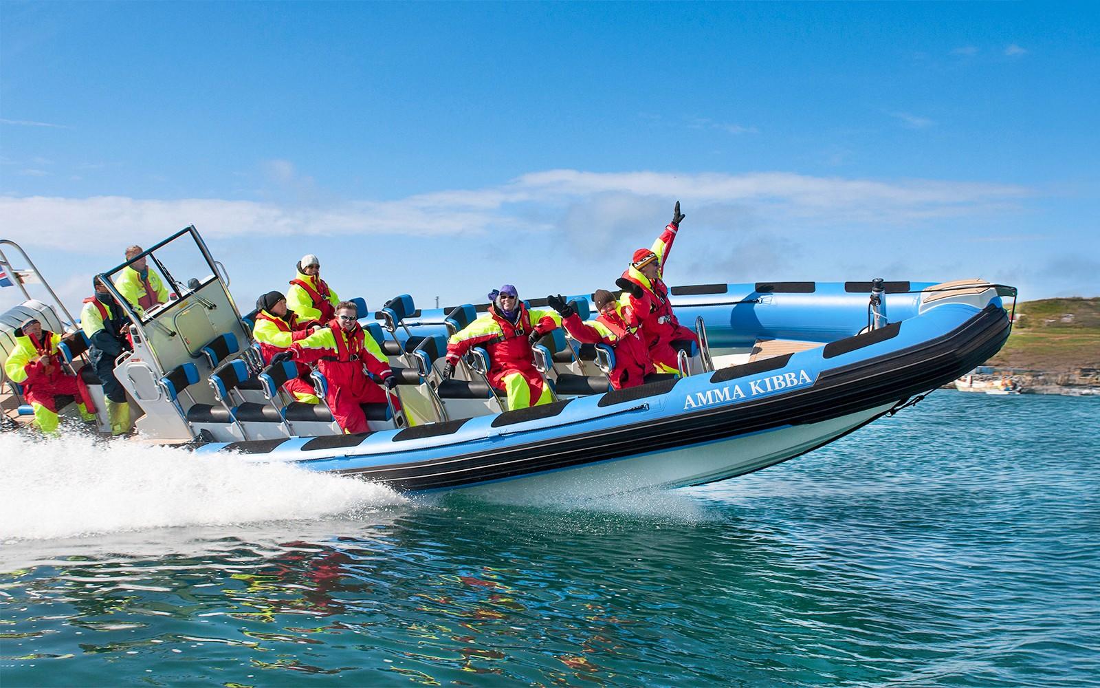 از هوساویك: تماشای نهنگ‌ها با قایق تندرو RIB tickets at Gentle Giants - Husavik Whale Watching, Reykjavik