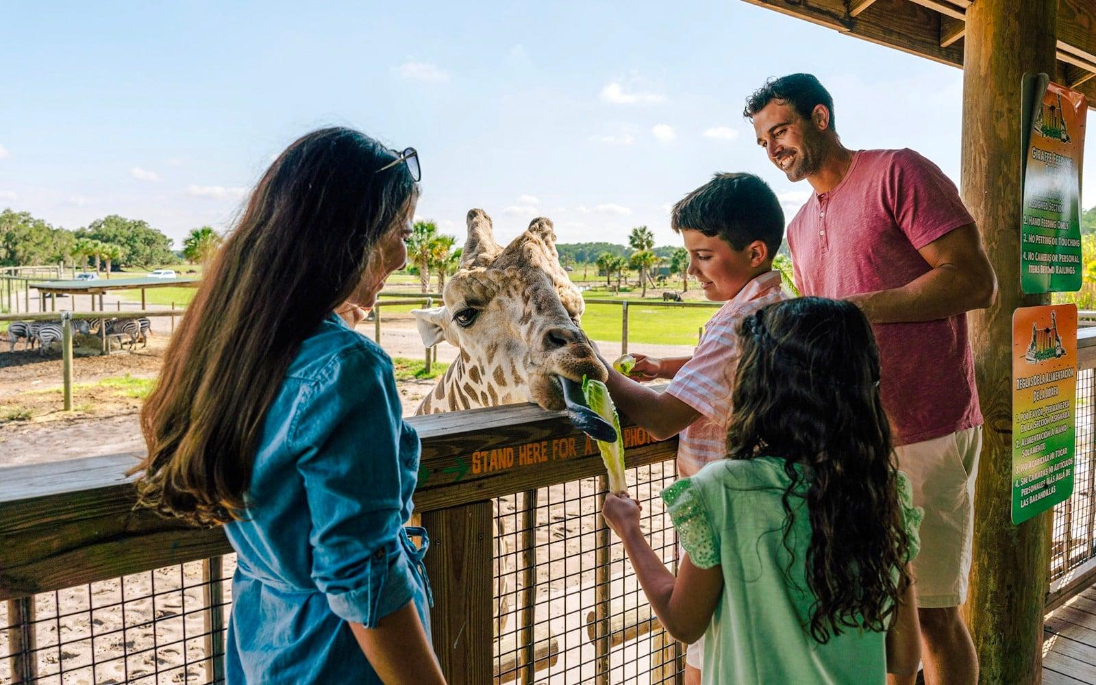 پارک سافاری درایو-ترو در وایلند فلوریدا tickets at Wild Florida Drive-Thru Safari Park, Orlando