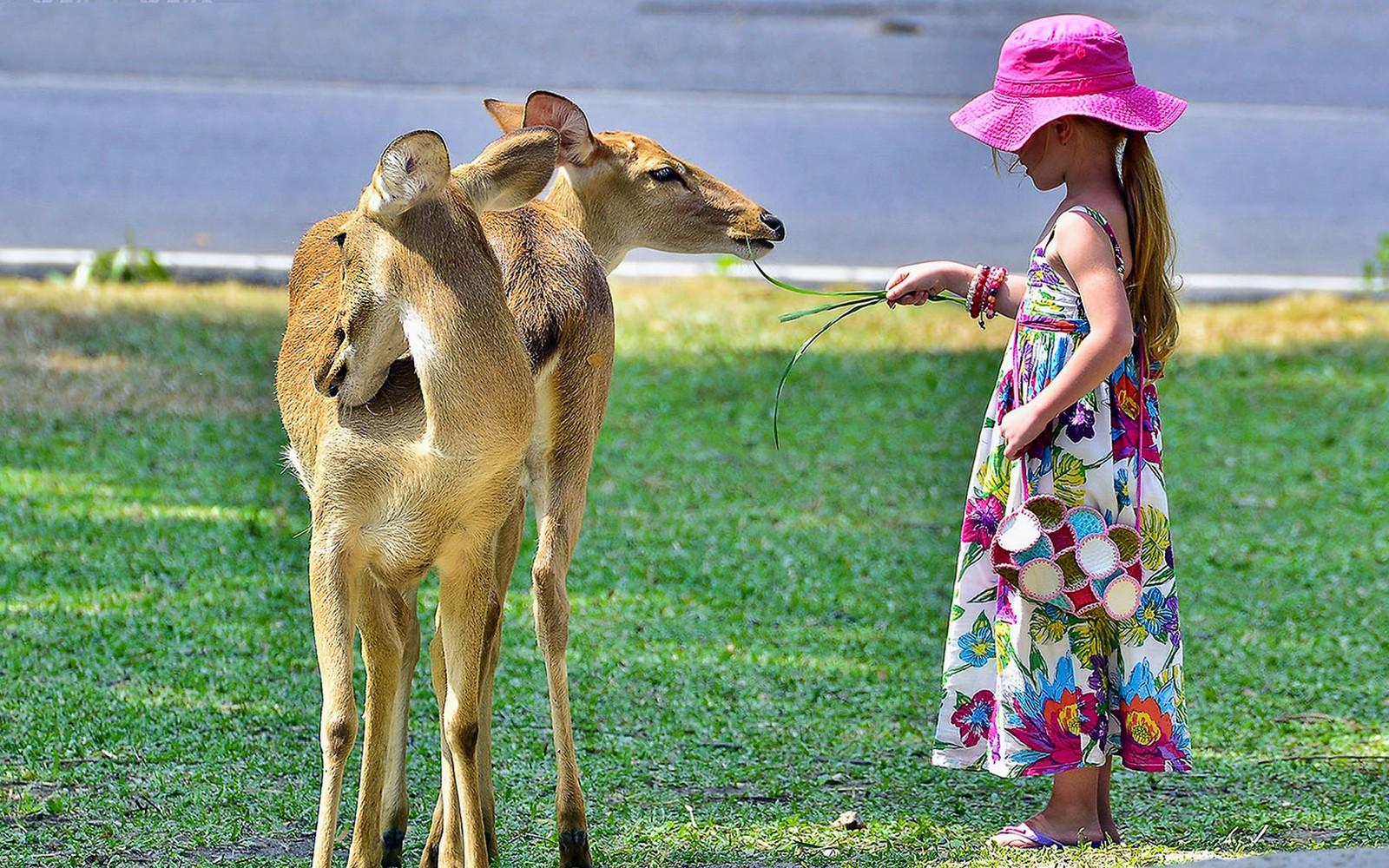 Tickets to Khao Kheow Open Zoo