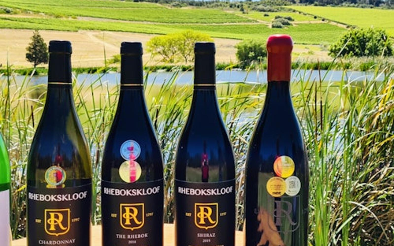 Tour Explorador de Vins de la Regió de Paarl, Franschhoek, Stellenbosch