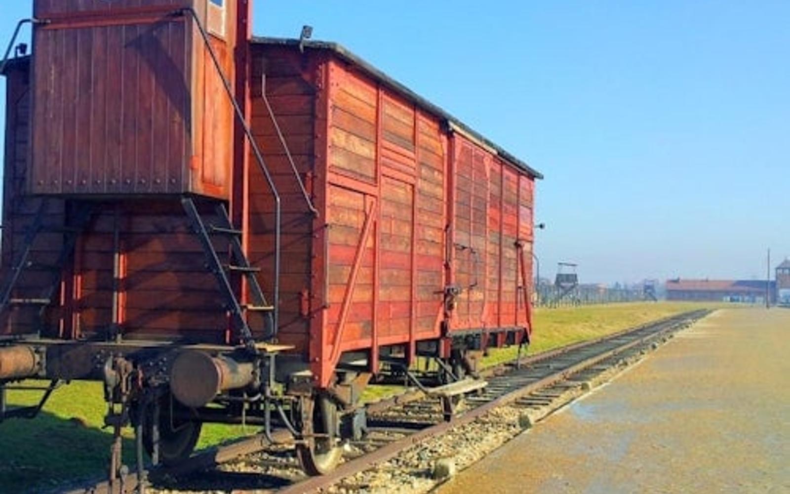 Auschwitz-Birkenau: Guided Tour