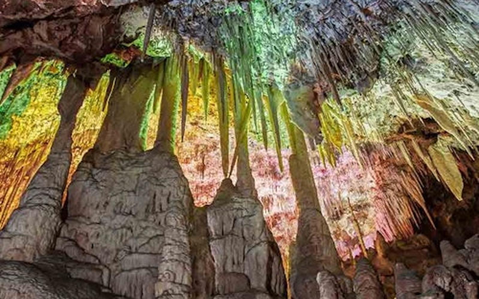 Dinosaurland & Caves dels Hams: Combo Ticket, Porto Cristo