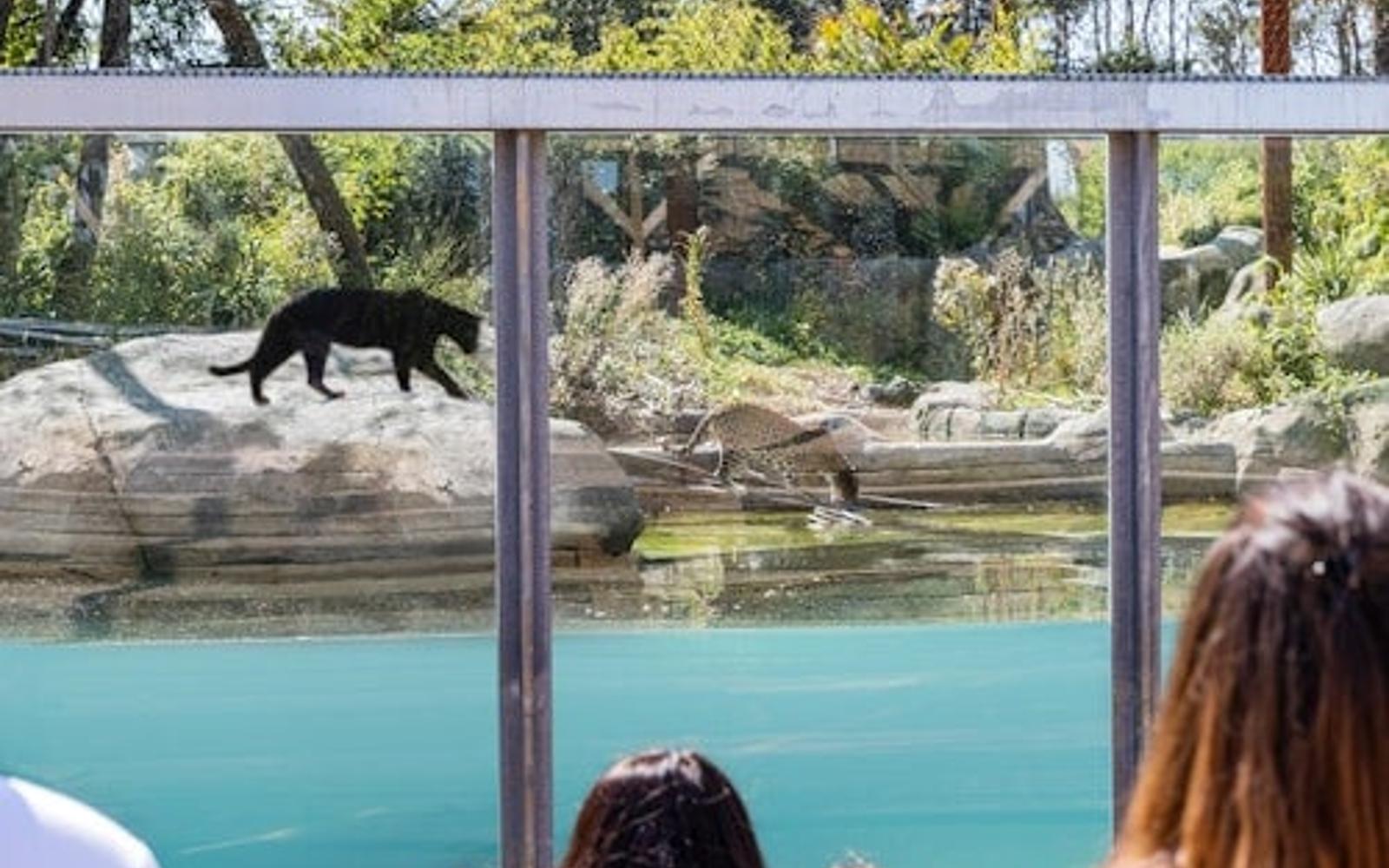 Parrot World: Passi Anual tickets at Parrot World, Crécy-la-Chapelle