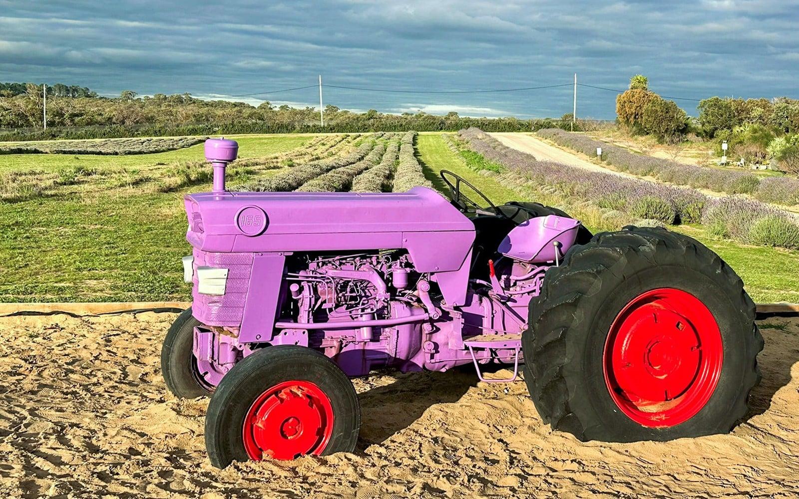 Pinnacles, Lobster Shack, & Lavender Farm Tour with Round-Trip Transfers