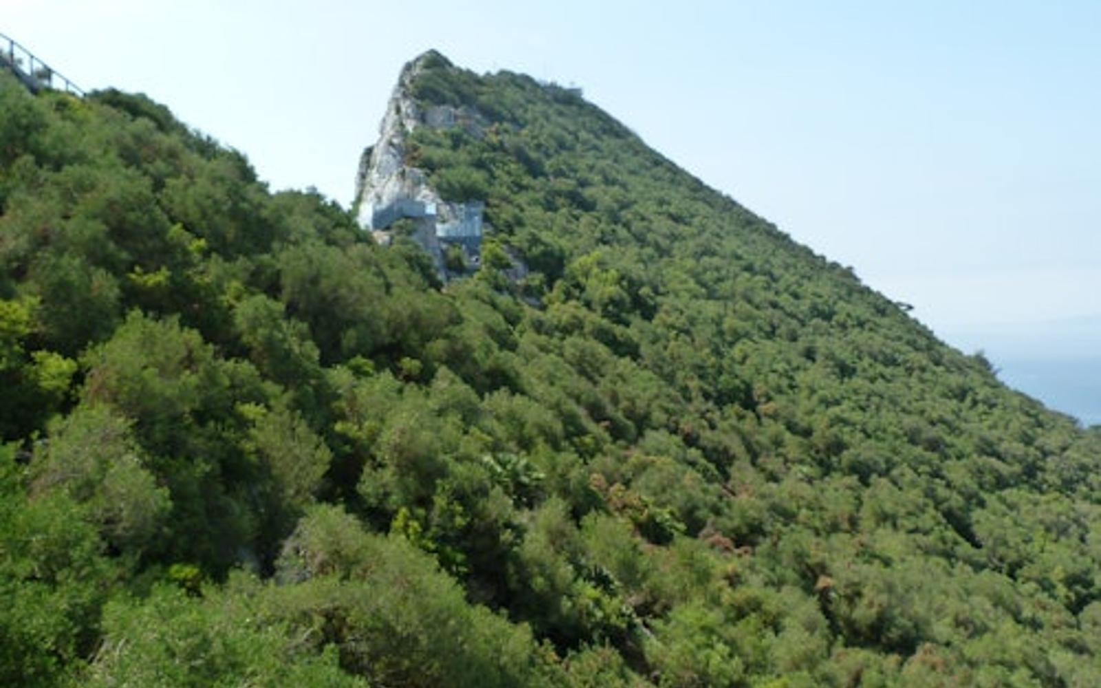 Des de Màlaga: Excursió d'un Dia a Gibraltar