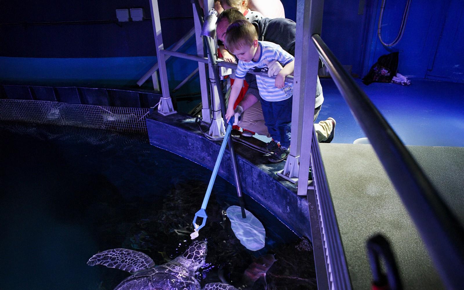 SEA LIFE London Aquarium Behind The Scenes Tour tickets at SEA LIFE London Aquarium, London