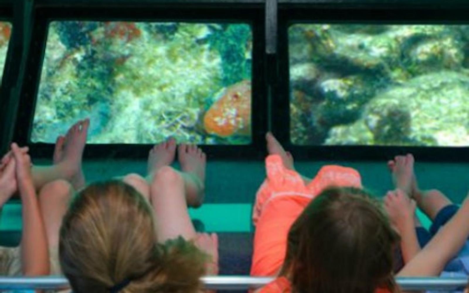 Glass Bottom Boat Key West