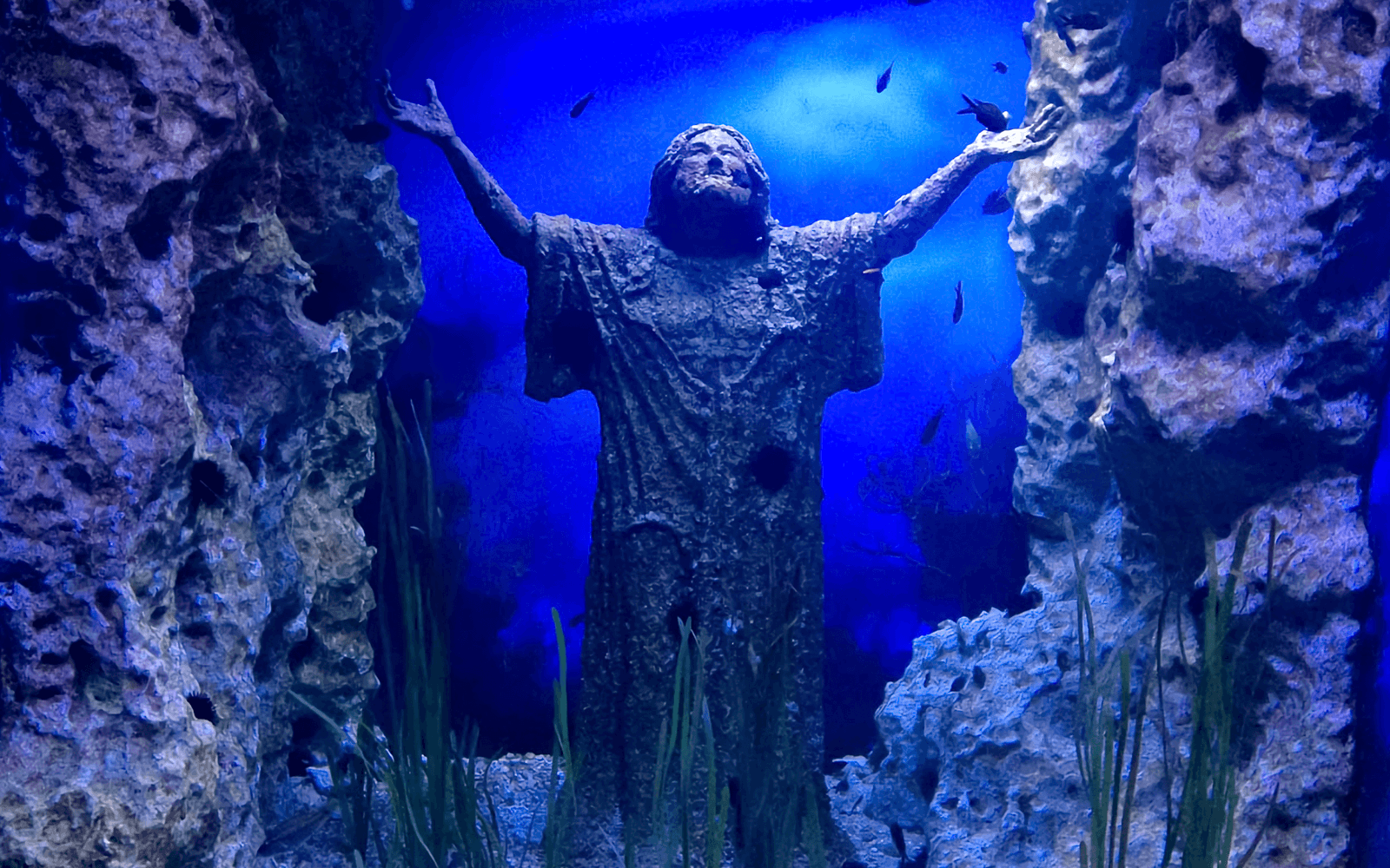 بلیط‌های آکواریوم ملی مالت tickets at Malta National Aquarium, St Pauls Bay