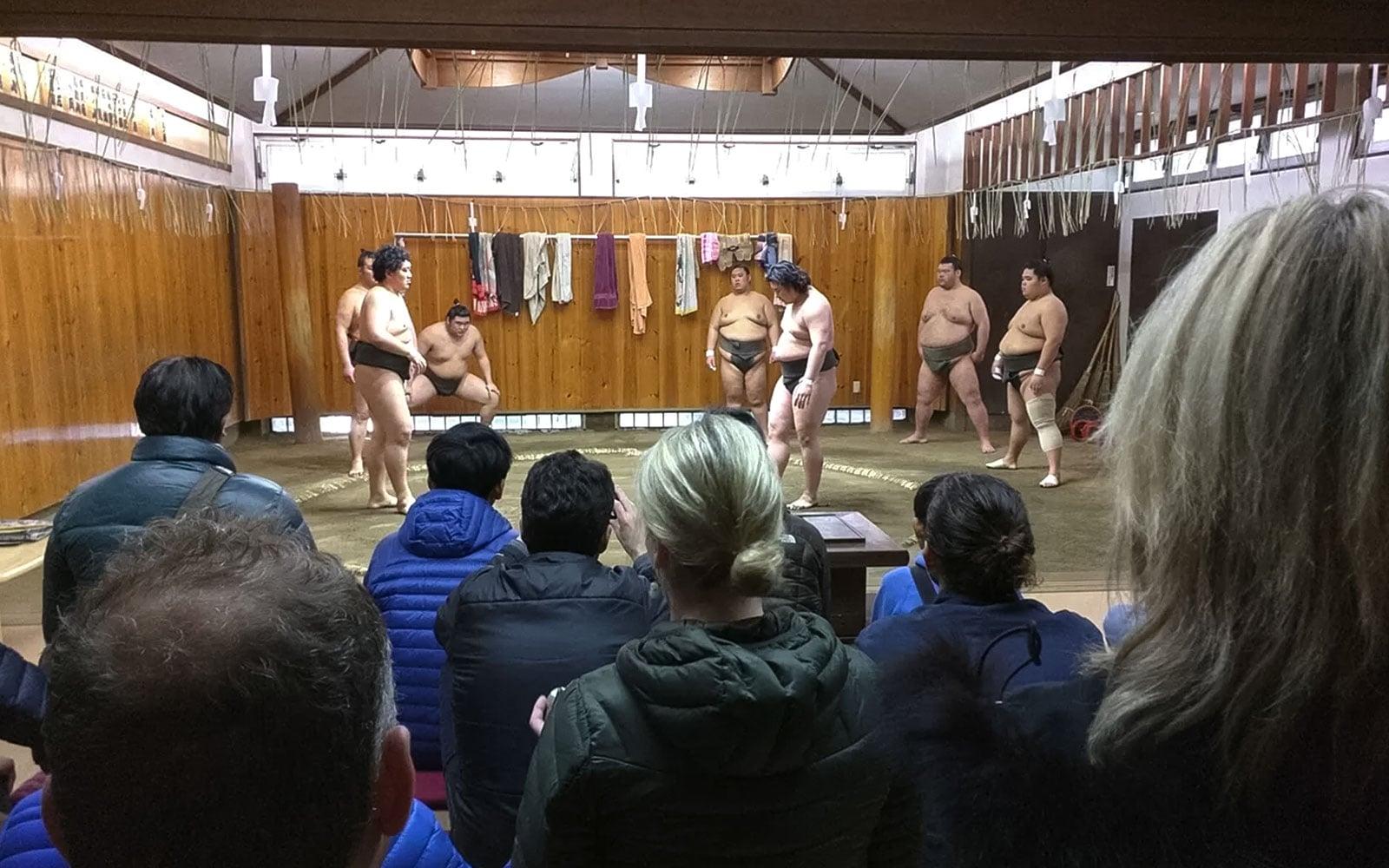 Tickets to Sumo Morning Training in Tokyo