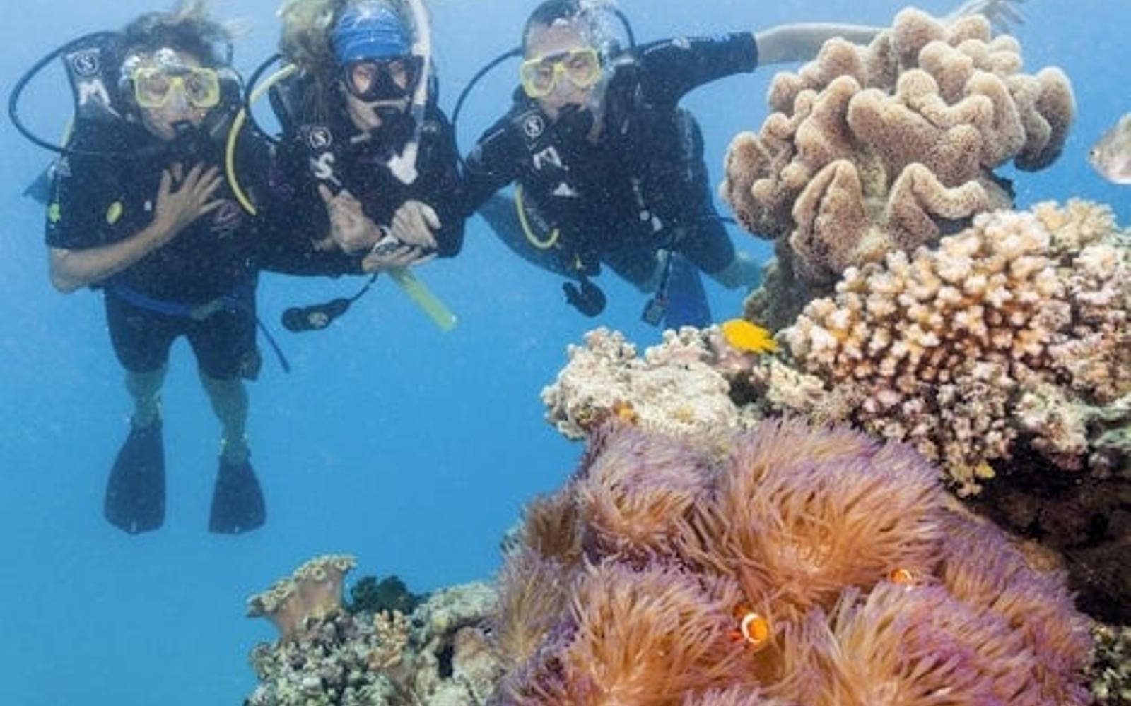 Great Barrier Reef: Guided Boat Tour from Cairns + Snorkelling + Lunch tickets, Cairns