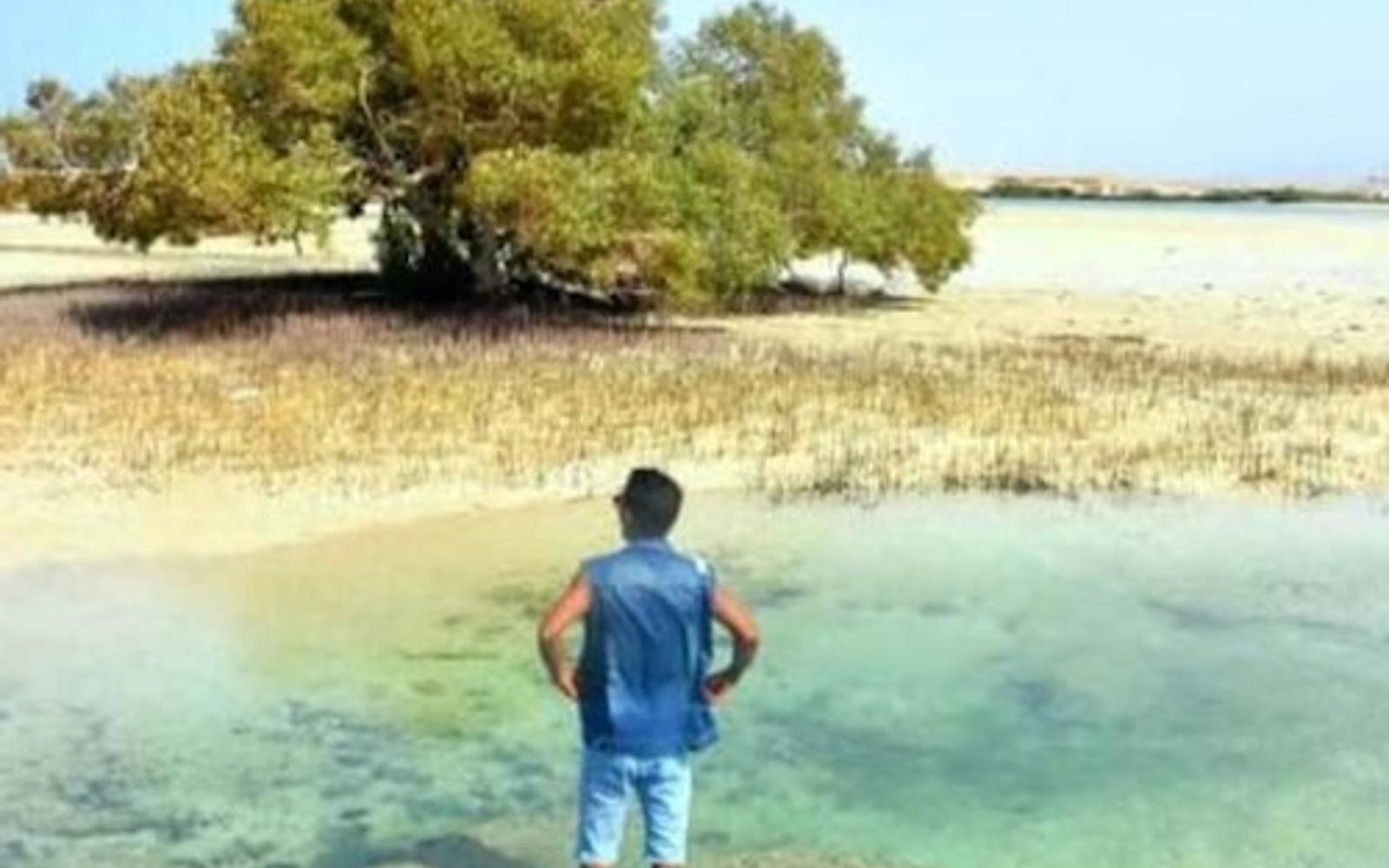 پارک ملی وادی الجمال