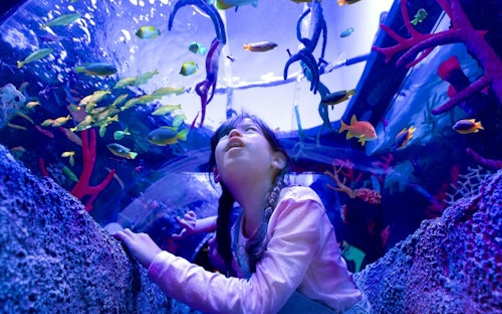 SEA LIFE Malaysia: Entry Ticket
